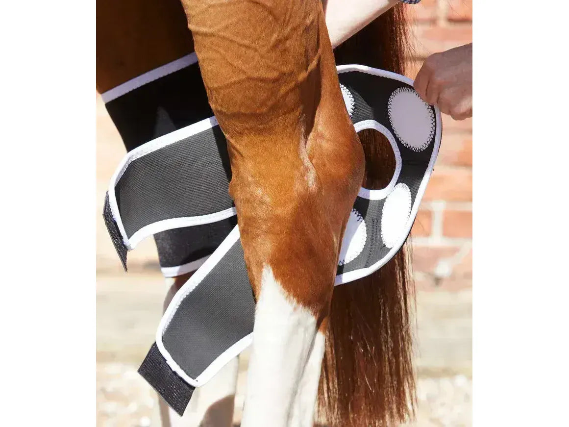 Premier Equine Bi-Polar Magni-Teque Magnetic Hock Boots