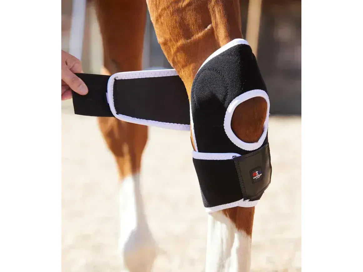 Premier Equine Bi-Polar Magni-Teque Magnetic Hock Boots