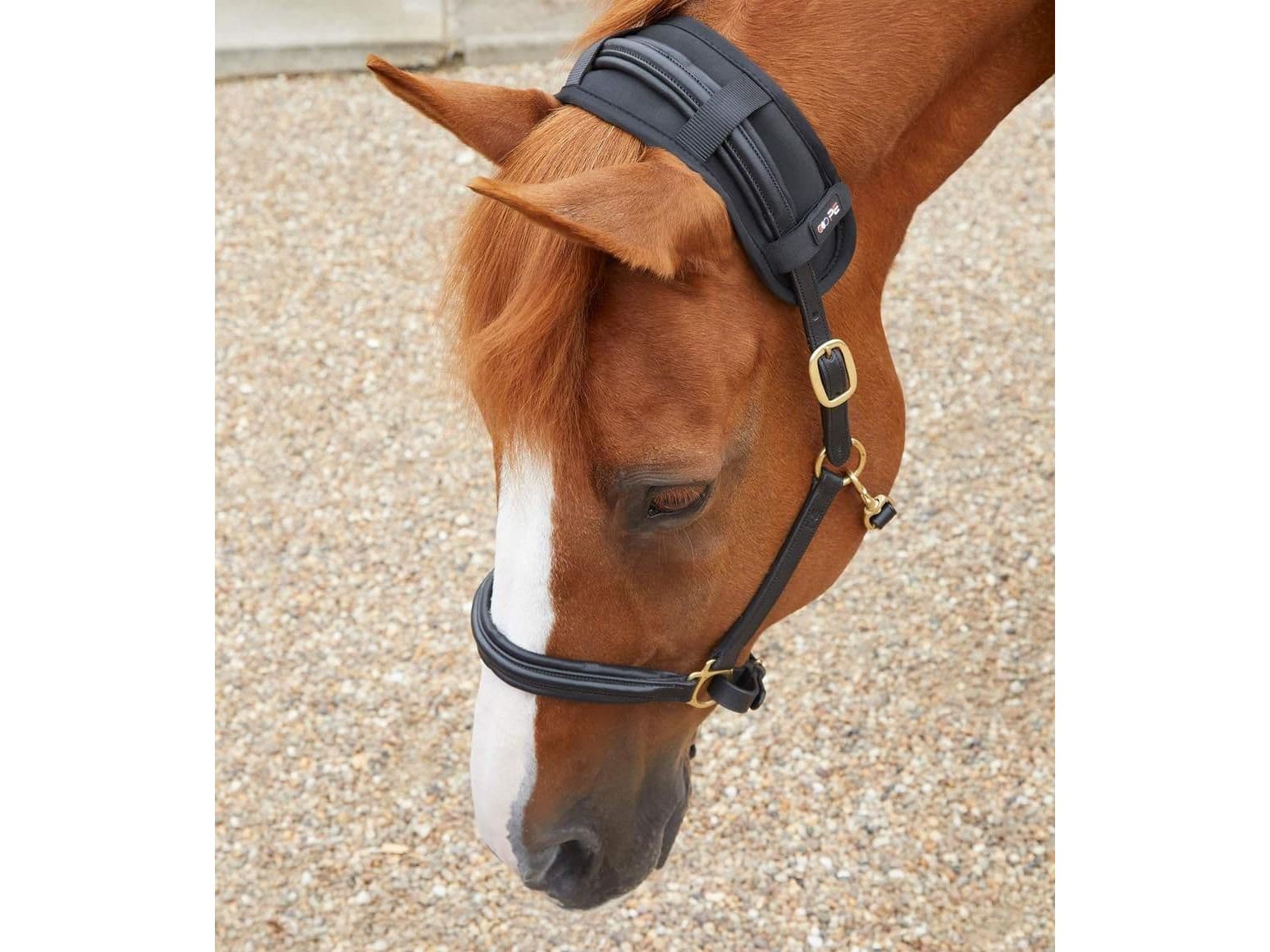 Premier Equine Bi-Polar Magni-Teque Poll Band