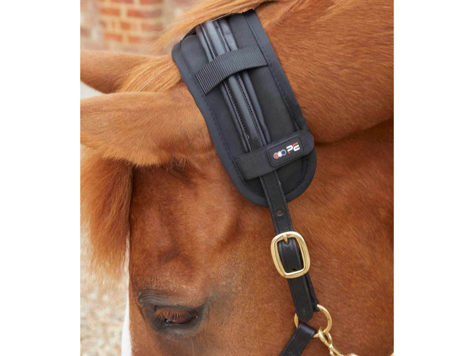 Premier Equine Bi-Polar Magni-Teque Poll Band