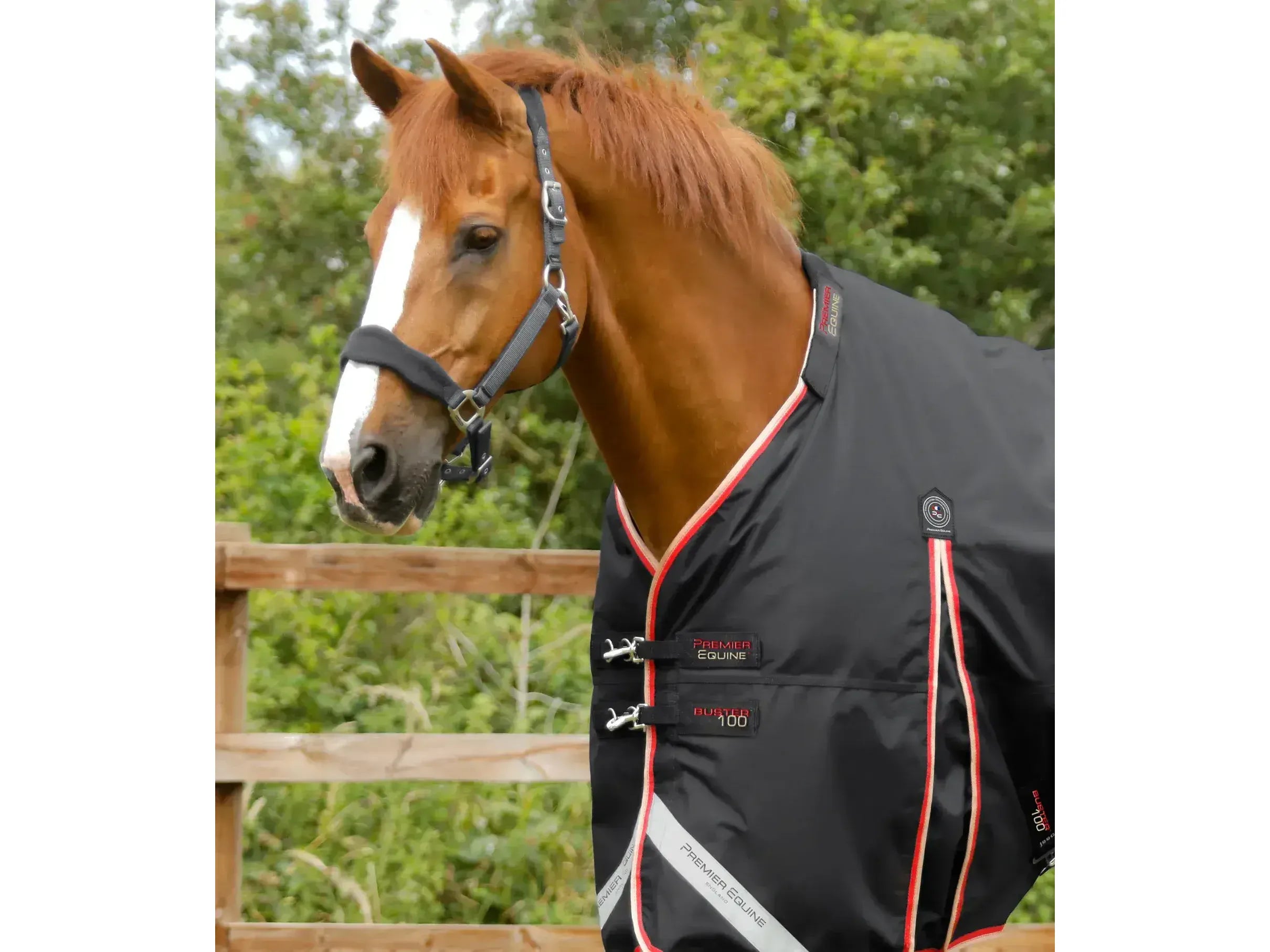 Premier Equine Buster 100g Turnout Rug with Snug-Fit Neck Cover