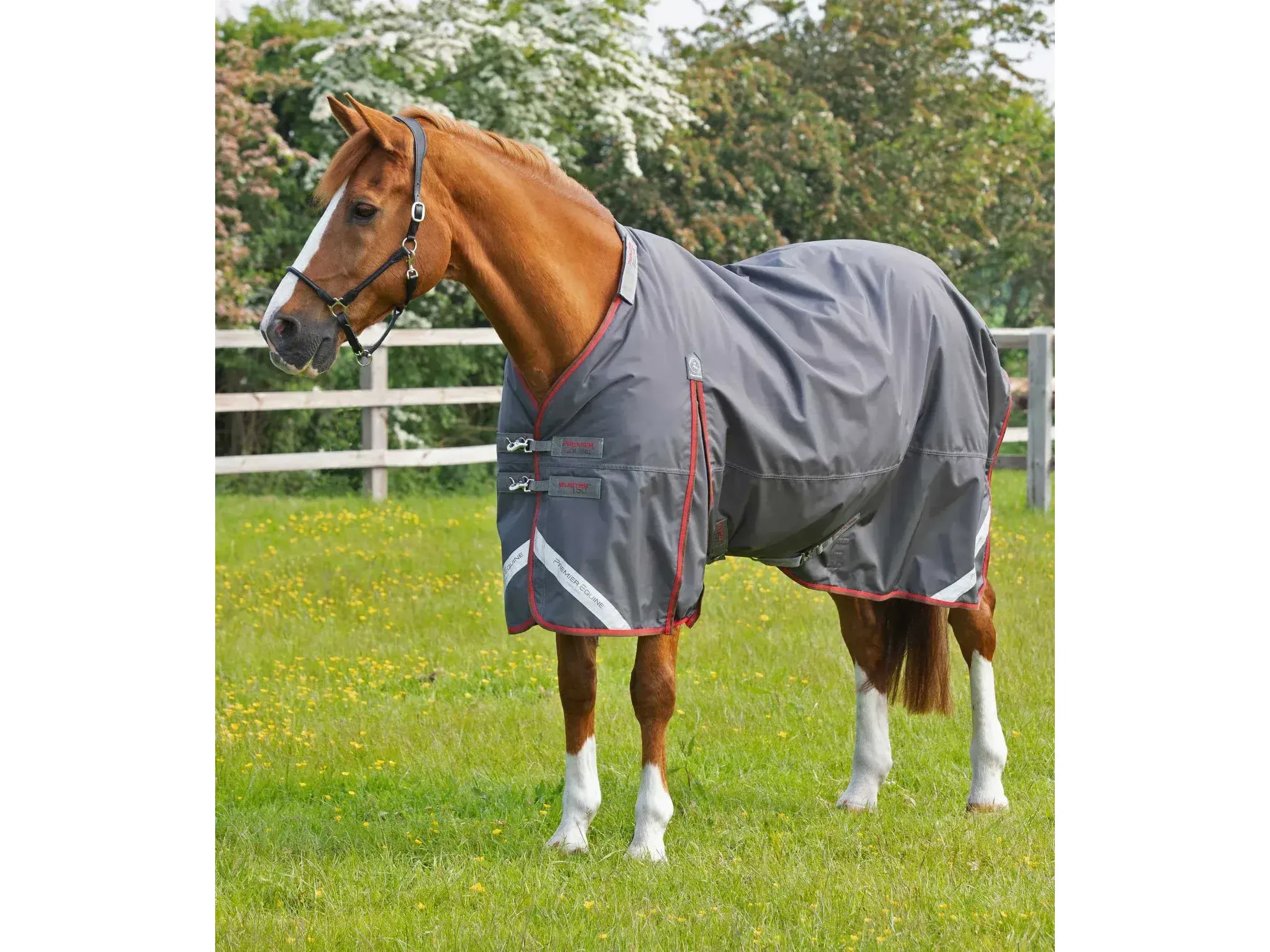 Premier Equine Buster 150g Turnout Rug with Classic Neck Cover