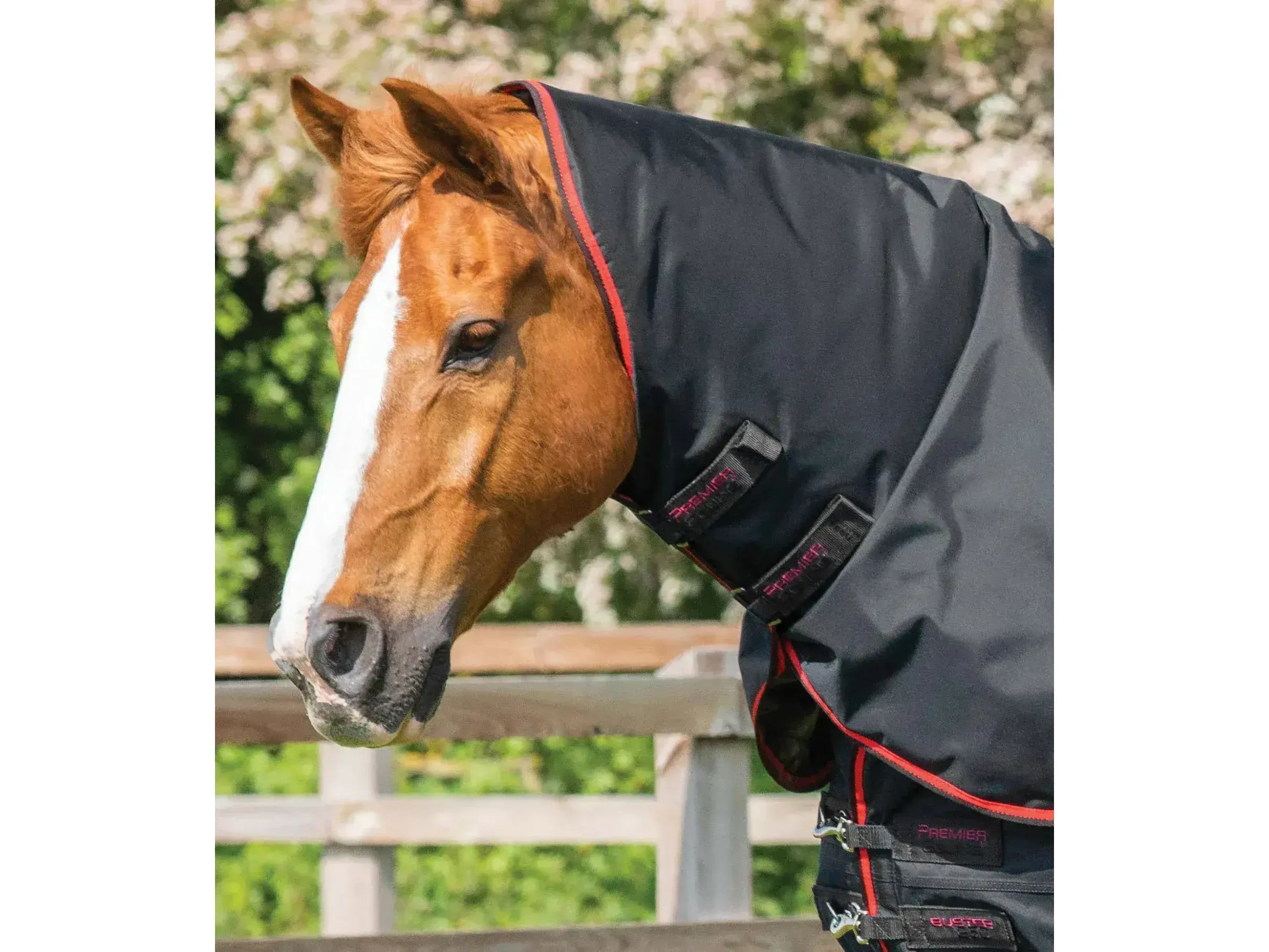 Premier Equine Buster 250g Turnout Rug with Classic Neck Cover