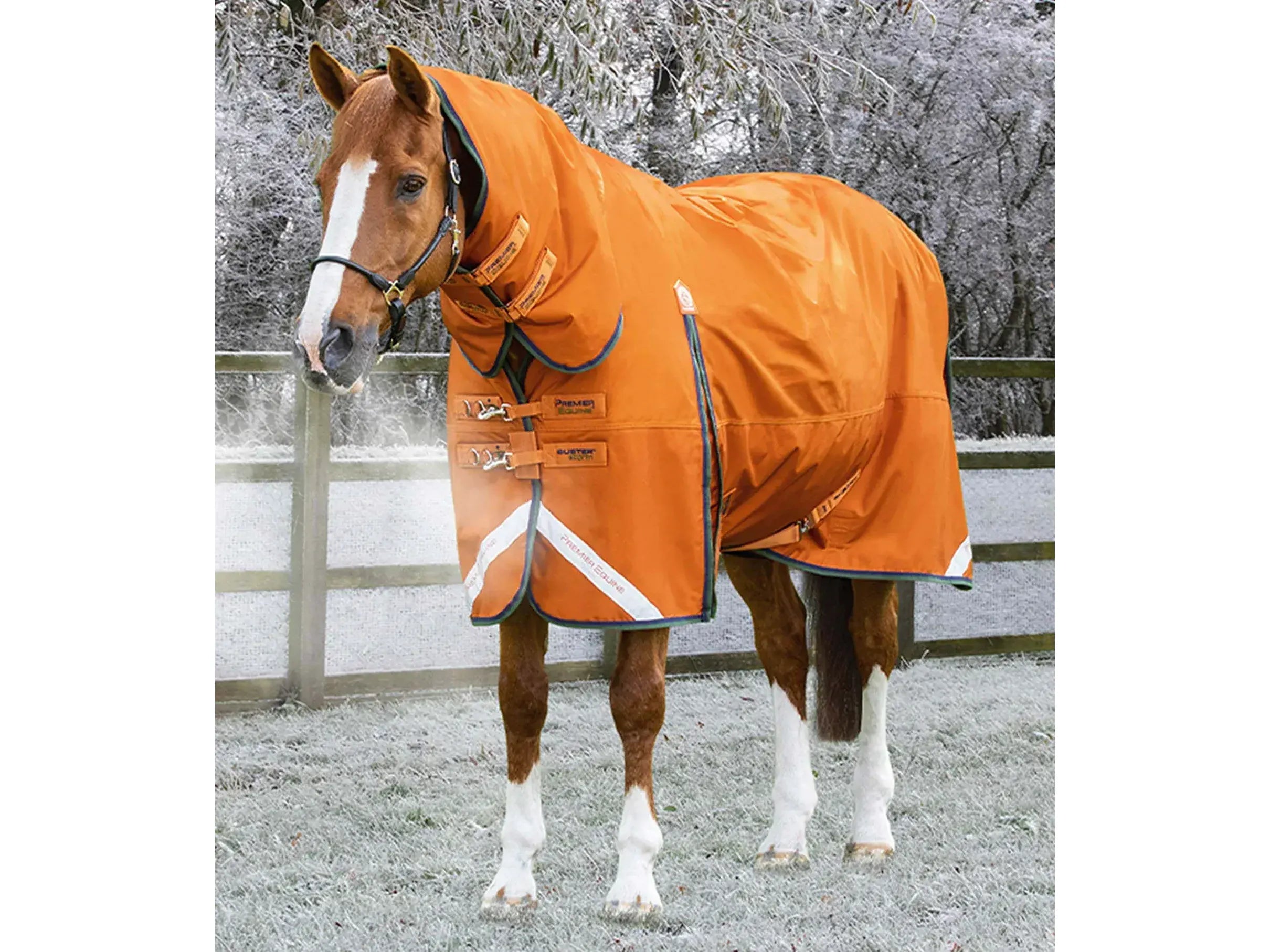 Premier Equine Buster 400g Combo Turnout Rug with classic neck