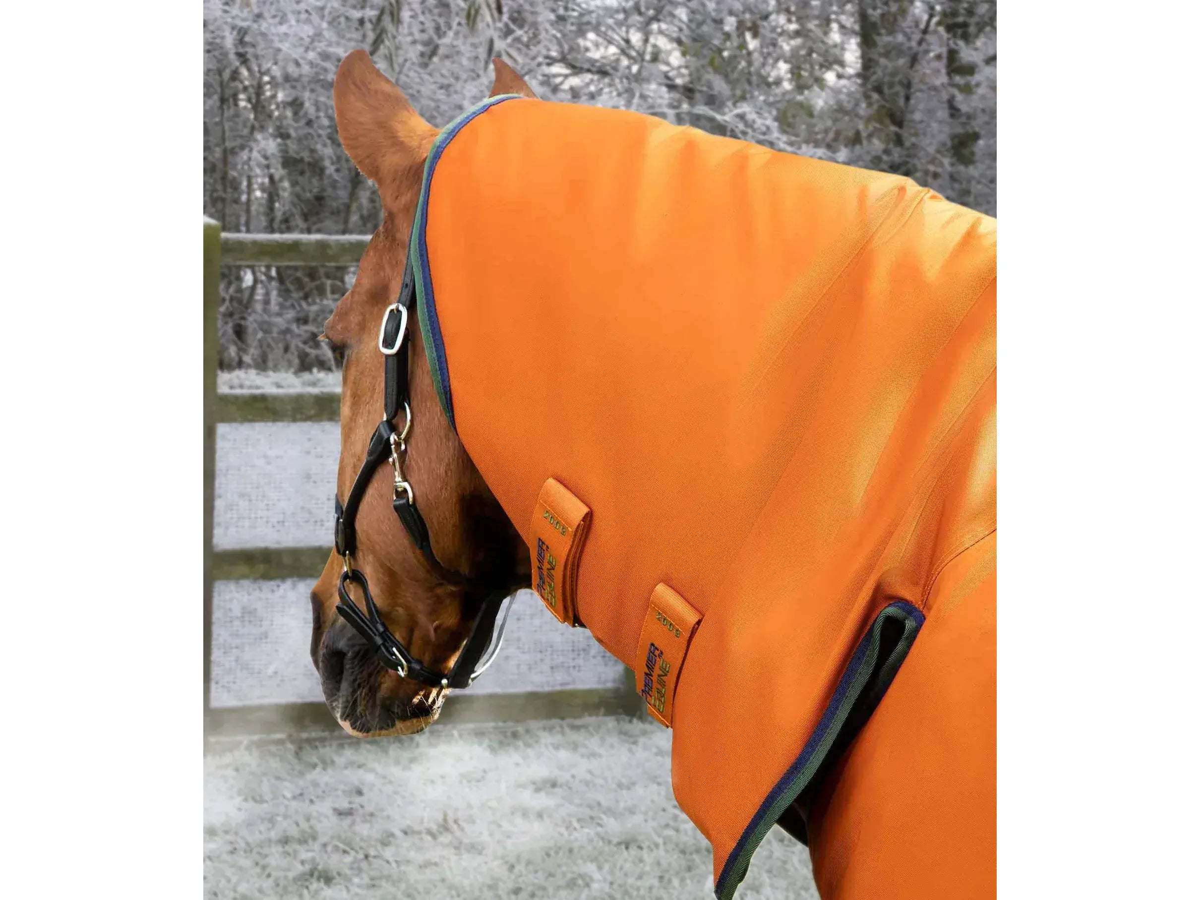 Premier Equine Buster 400g Combo Turnout Rug with classic neck