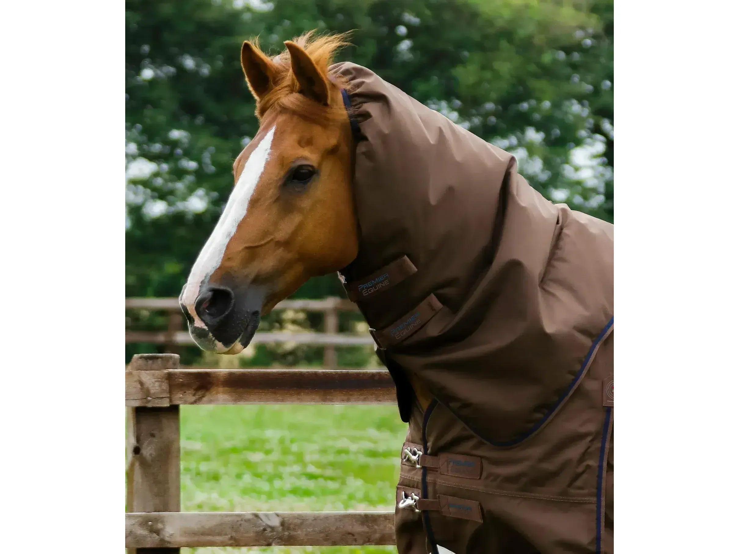 Premier Equine Buster 400g Turnout Rug with Snug-Fit Neck Cover