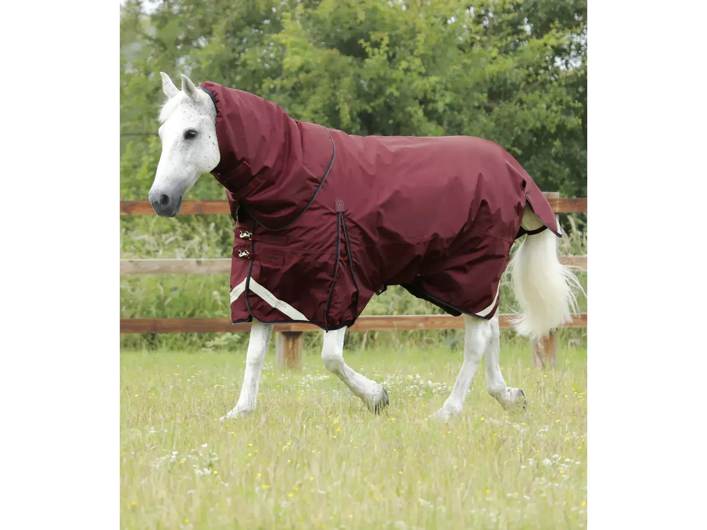 Premier Equine Buster 400g Turnout Rug with Snug-Fit Neck Cover