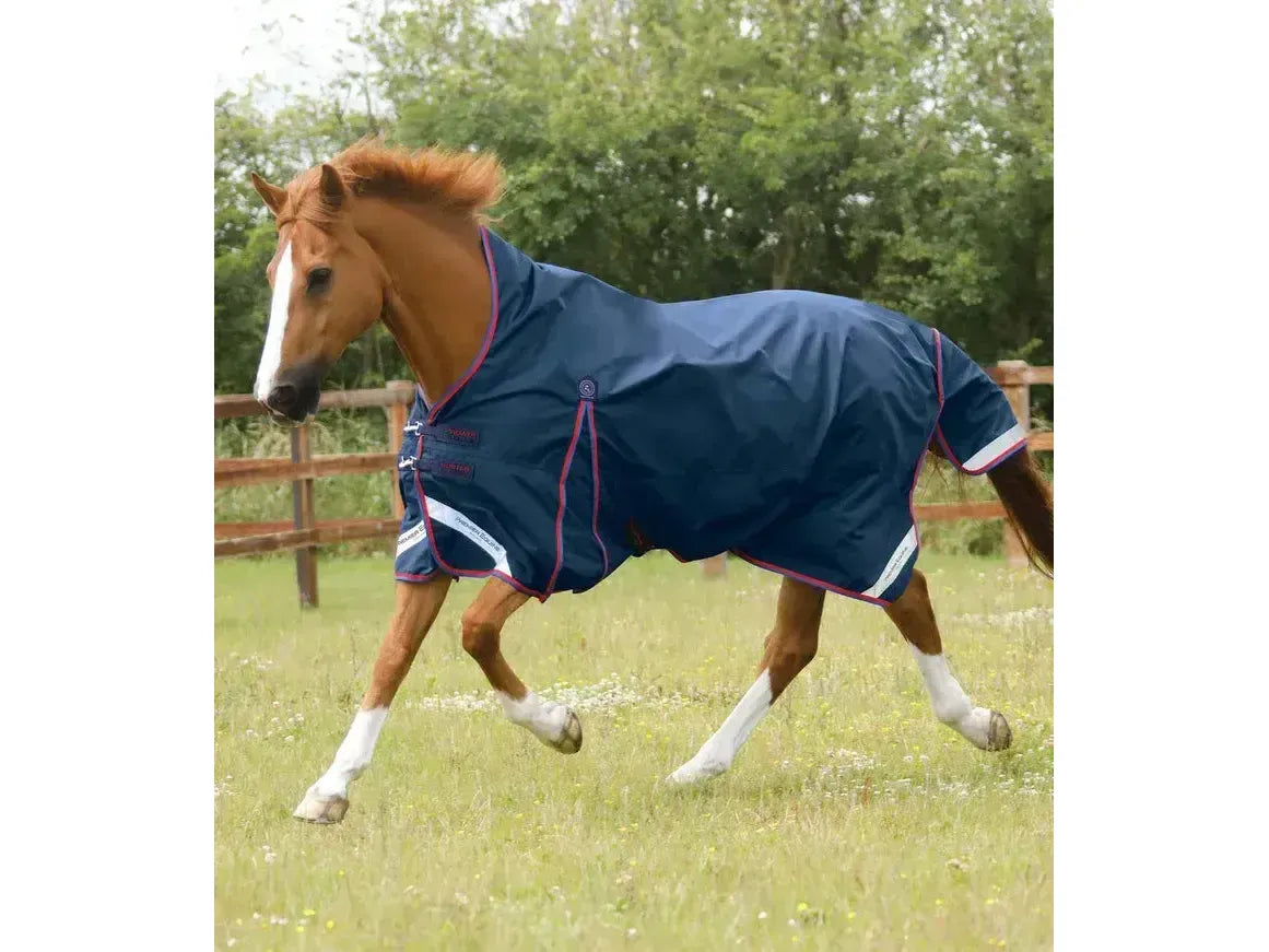 Premier Equine Buster Hardy 0g Half Neck Turnout Rug