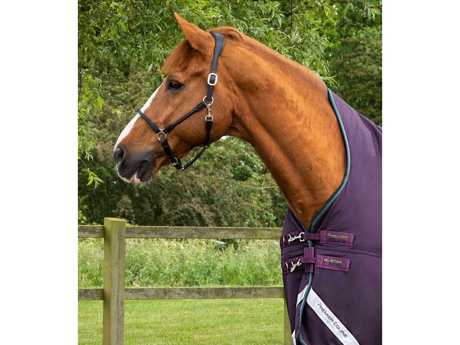 Premier Equine Buster Hardy 100g Half Neck Turnout Rug