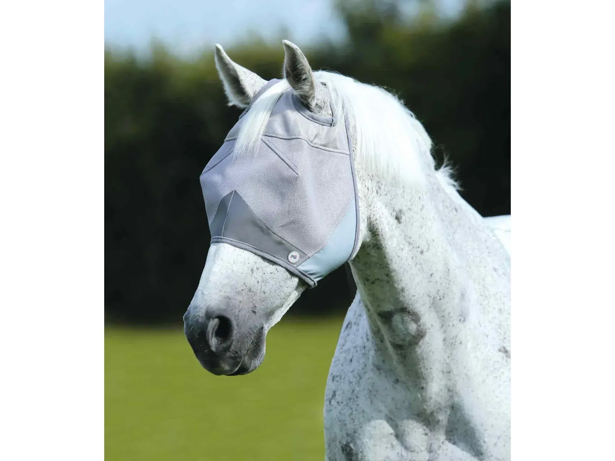 Premier Equine Buster Mask: Standard