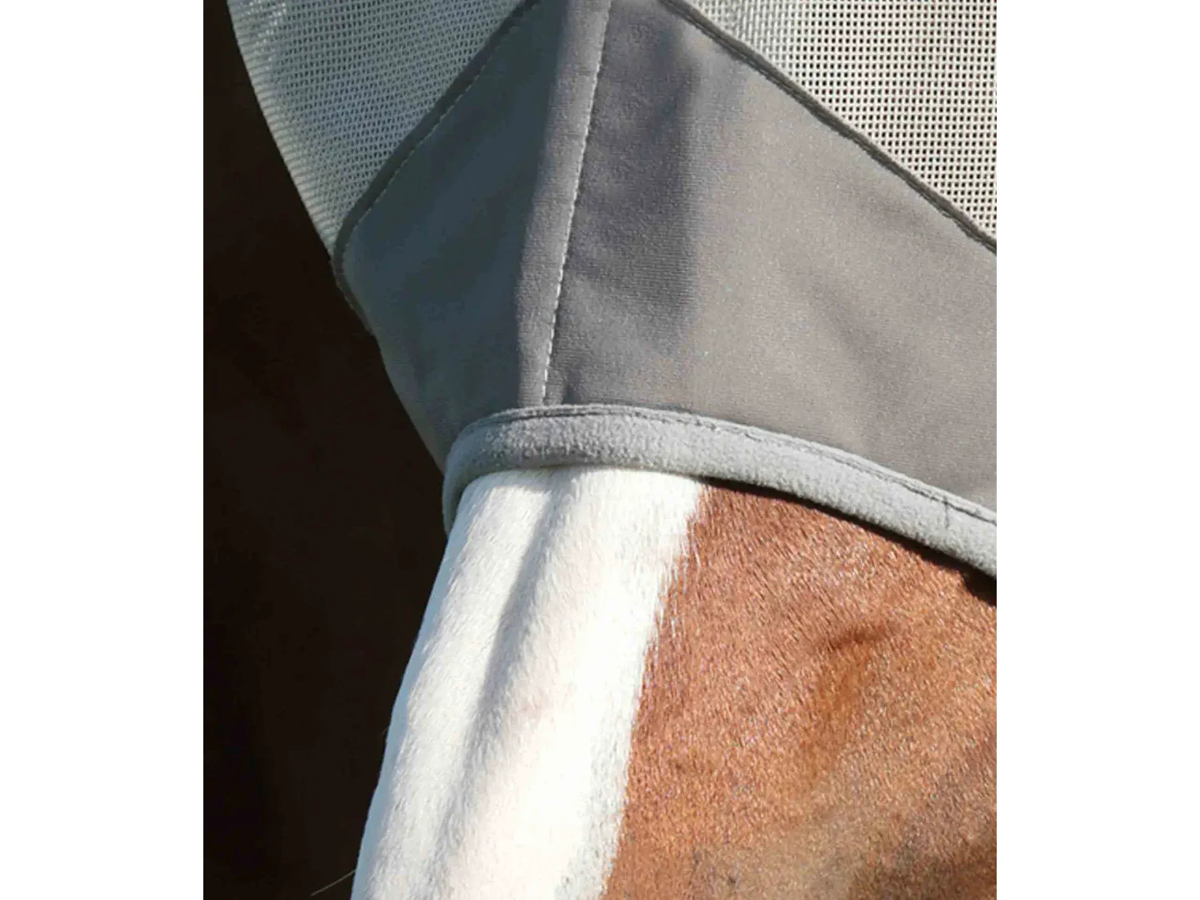 Premier Equine Buster Mask: Standard Plus