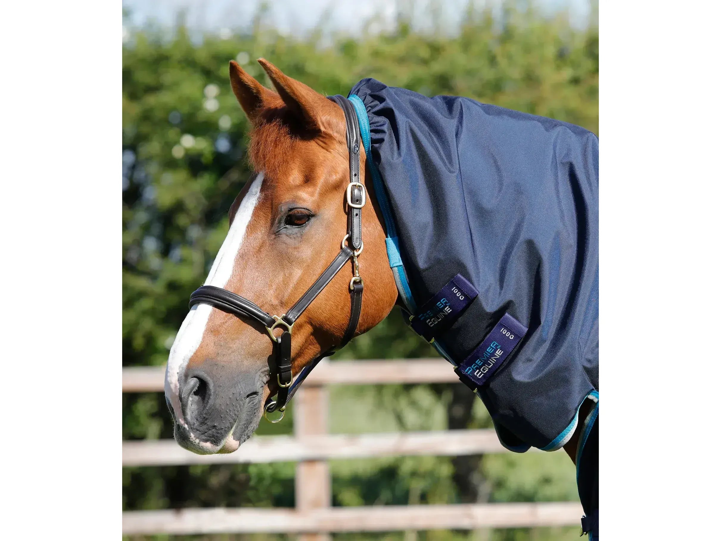 Premier Equine Buster Storm 100g Turnout Rug