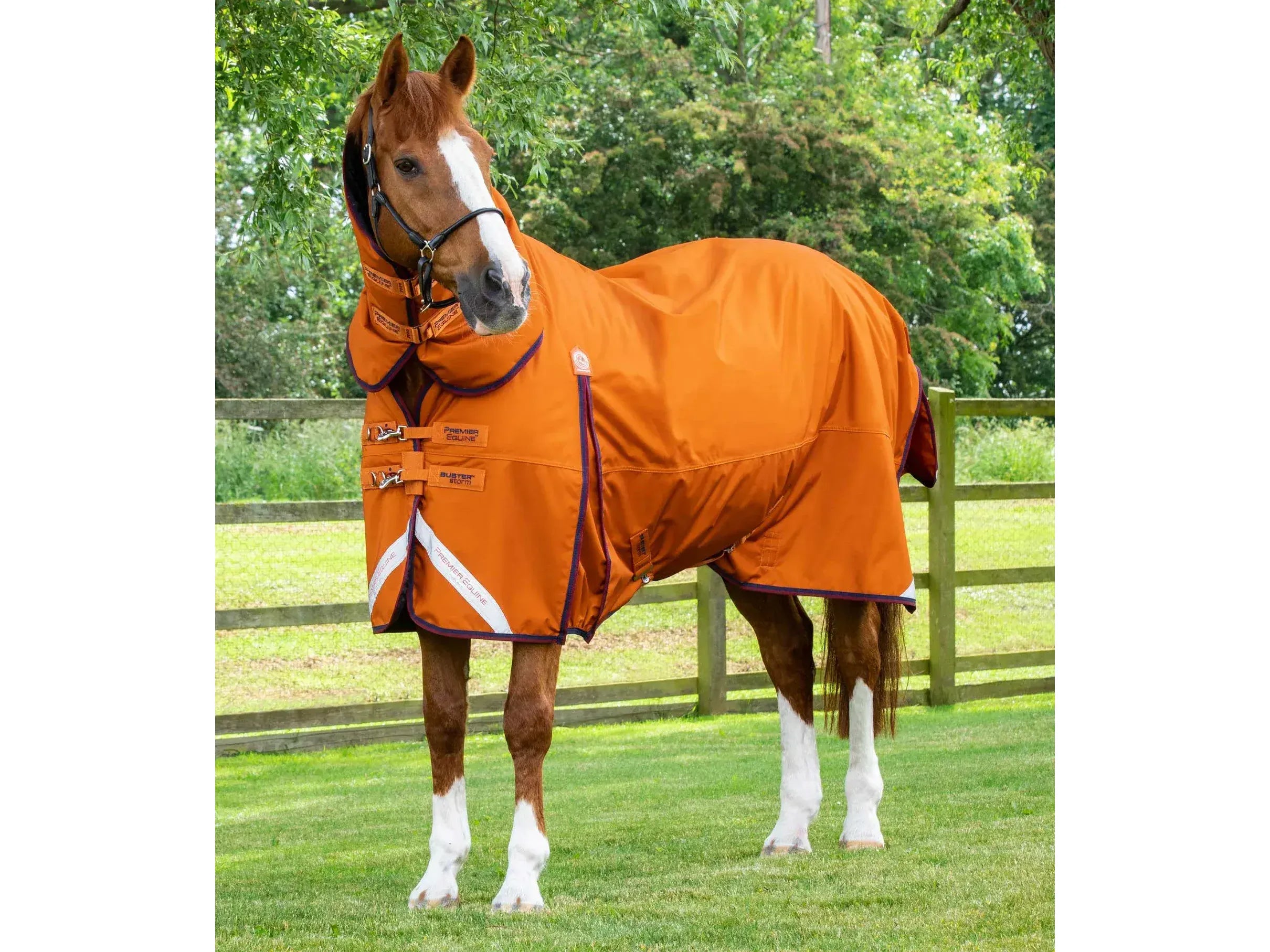 Premier Equine Buster Storm 200g Combo Turnout Rug with Classic Neck