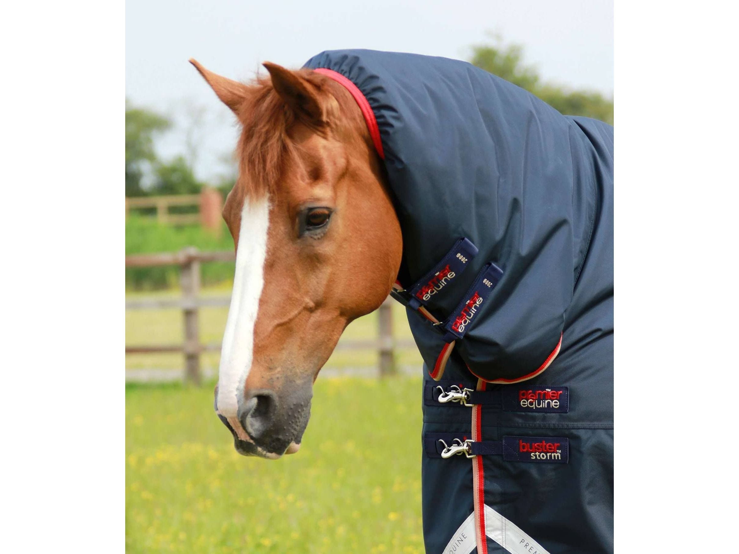 Premier Equine Buster Storm 200g Combo Turnout Rug with Snug-Fit Neck