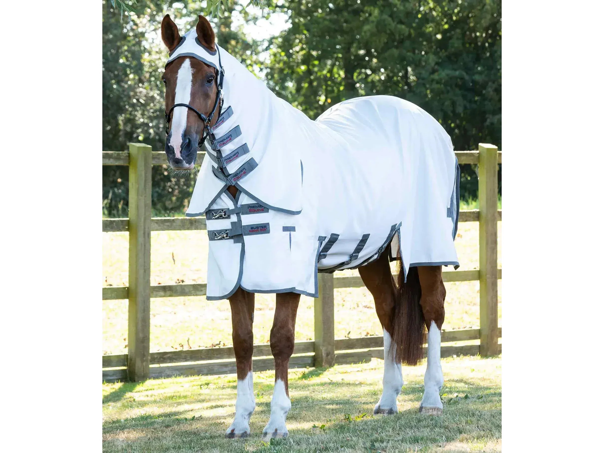 Premier Equine Buster Sweet Itch with Belly Flap
