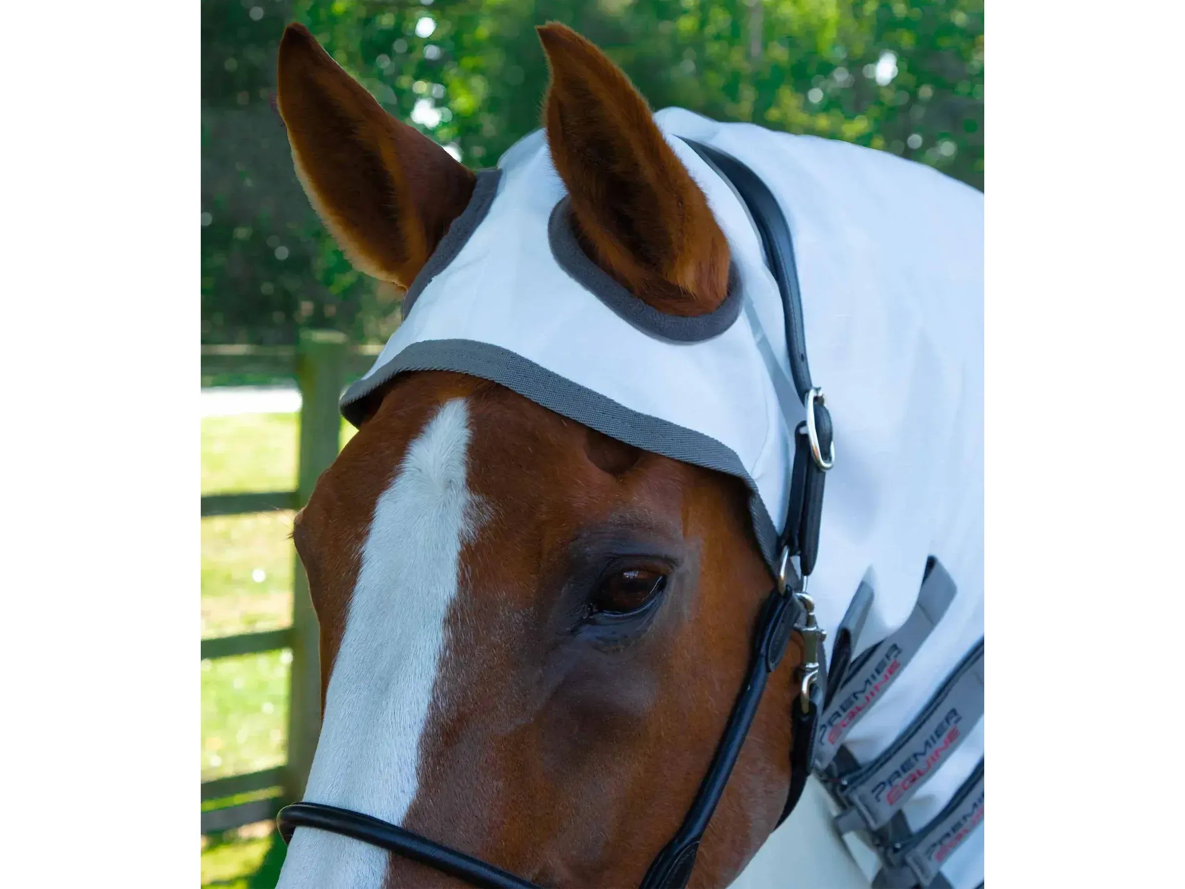 Premier Equine Buster Sweet Itch with Belly Flap