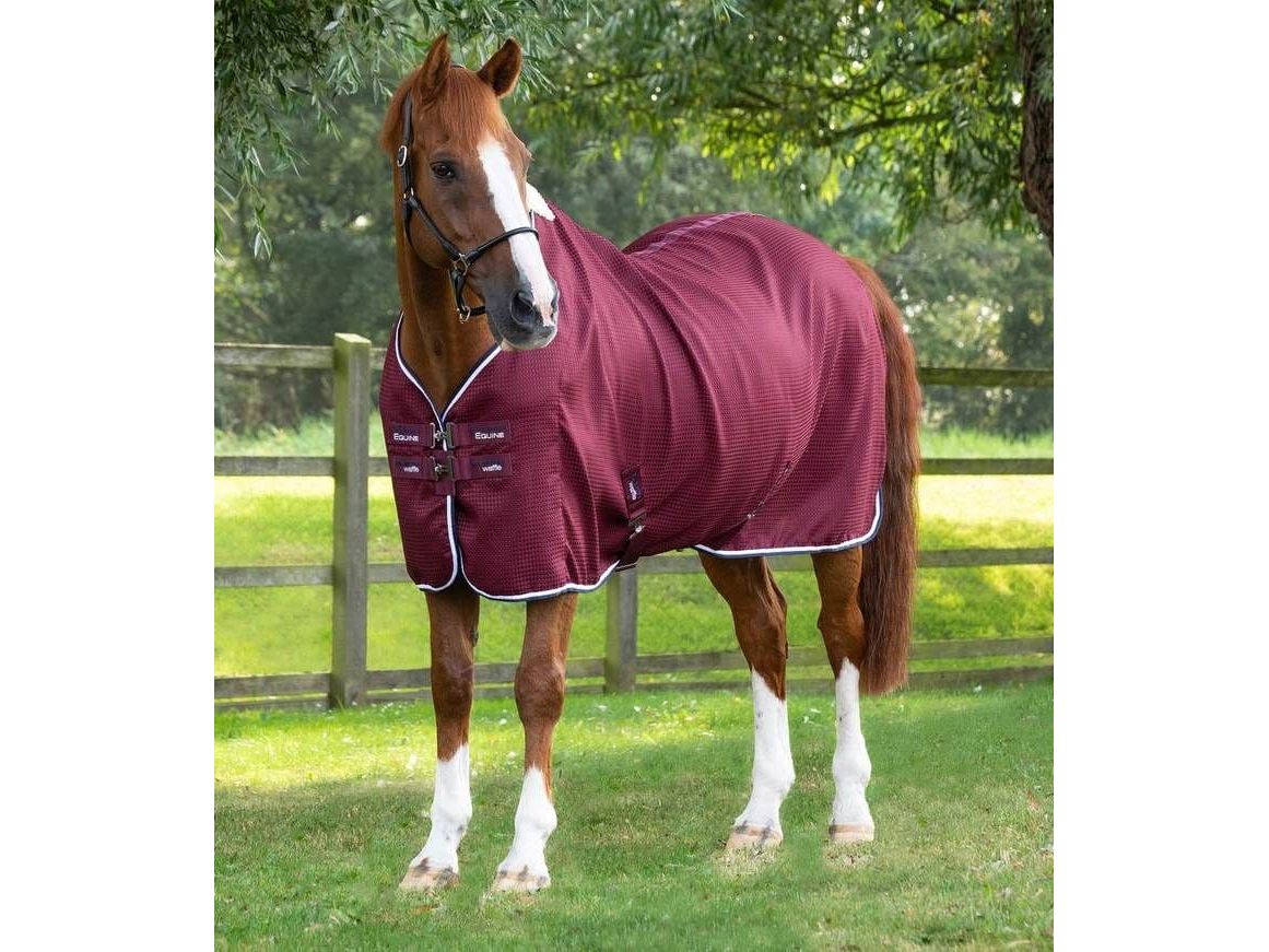 Premier Equine Buster Waffle Cooler Rug