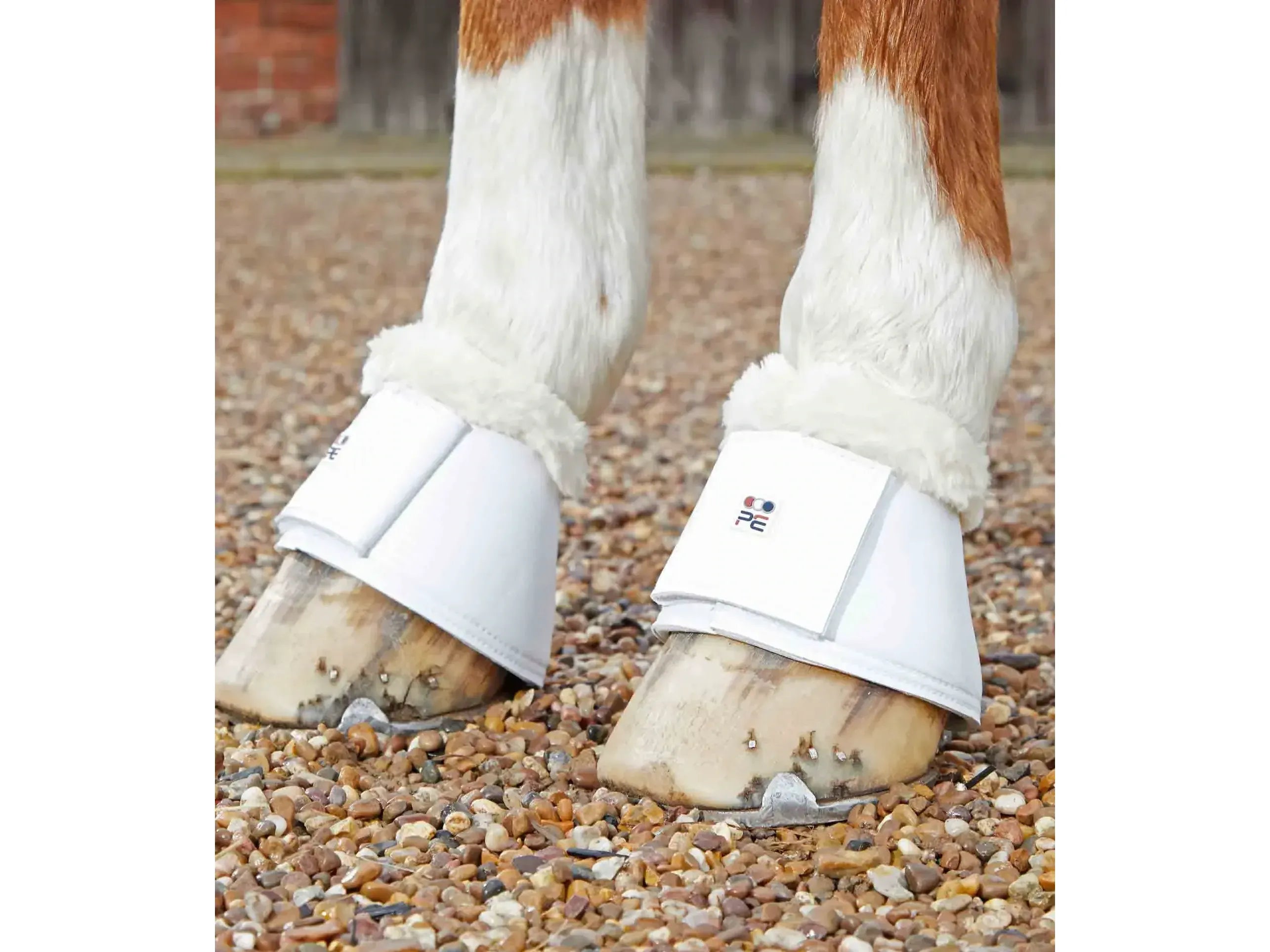 Premier Equine Carbon Tech Techno Wool Over Reach Boots