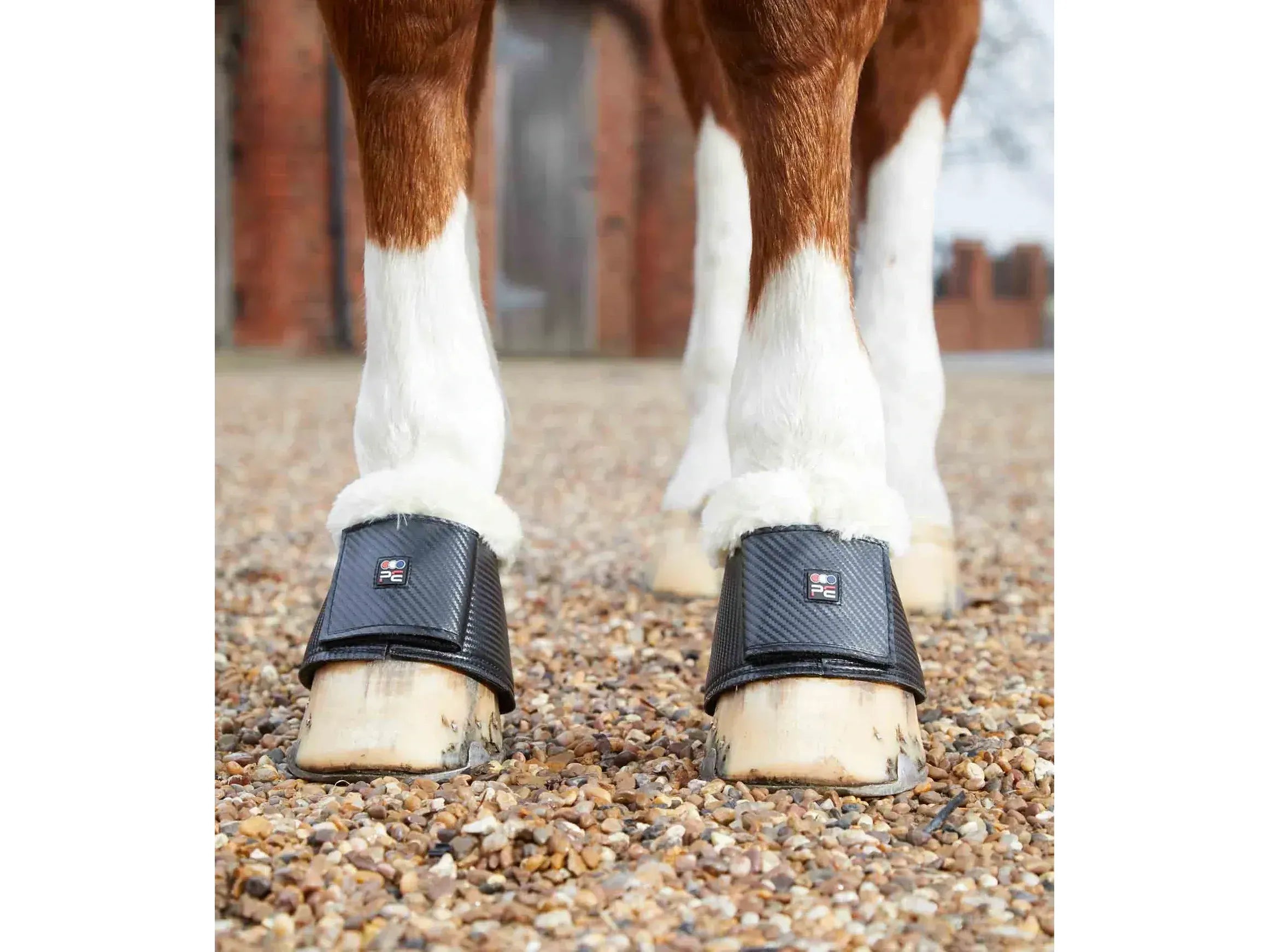 Premier Equine Carbon Tech Techno Wool Over Reach Boots