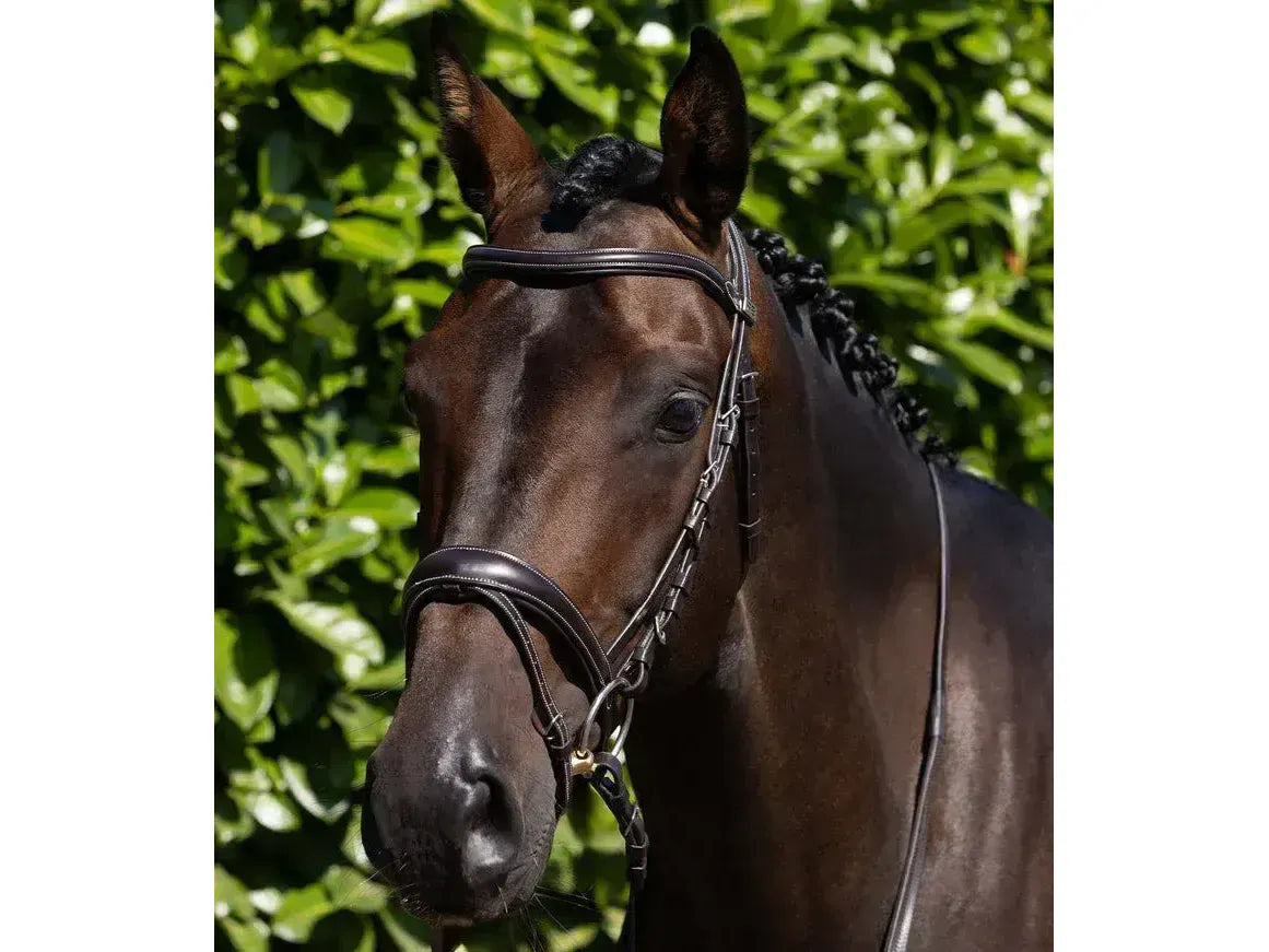 Premier Equine Cassano Snaffle Bridle