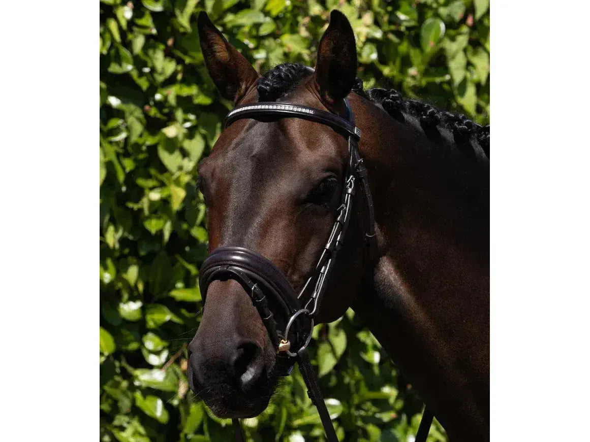 Premier Equine Castello Anatomical Bridle