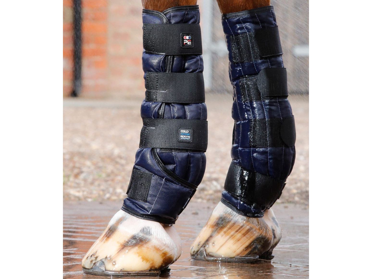 Premier Equine Cold Water Boots