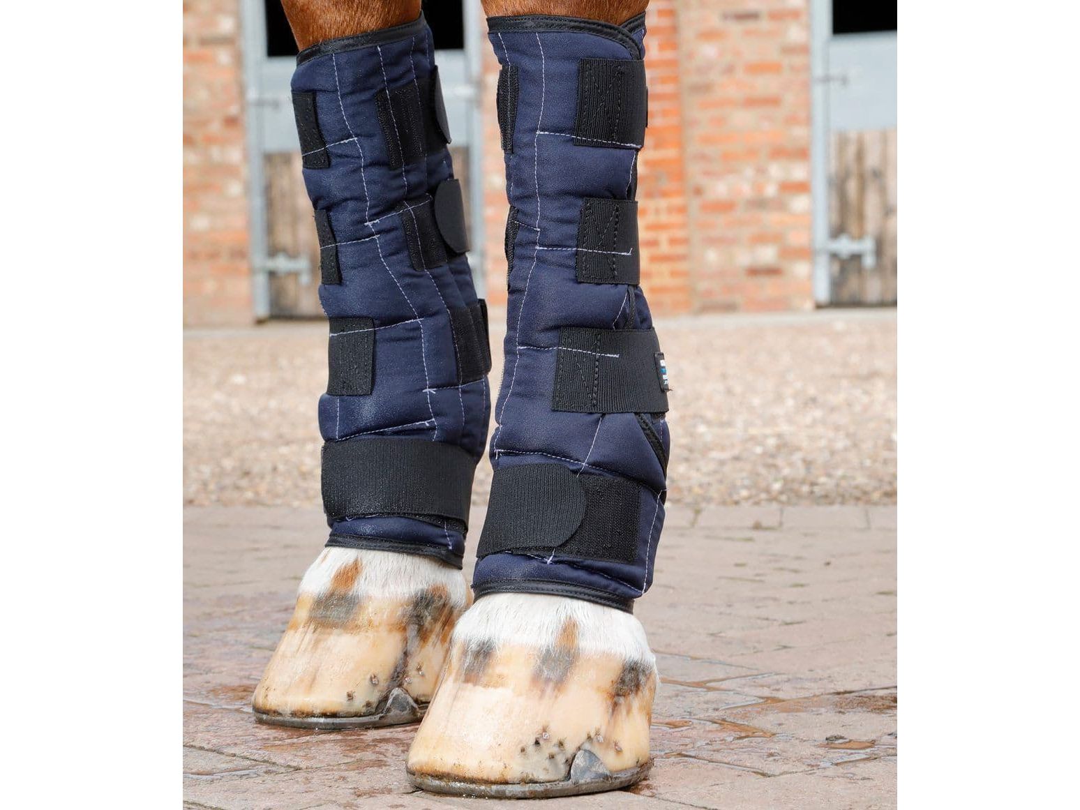 Premier Equine Cold Water Boots