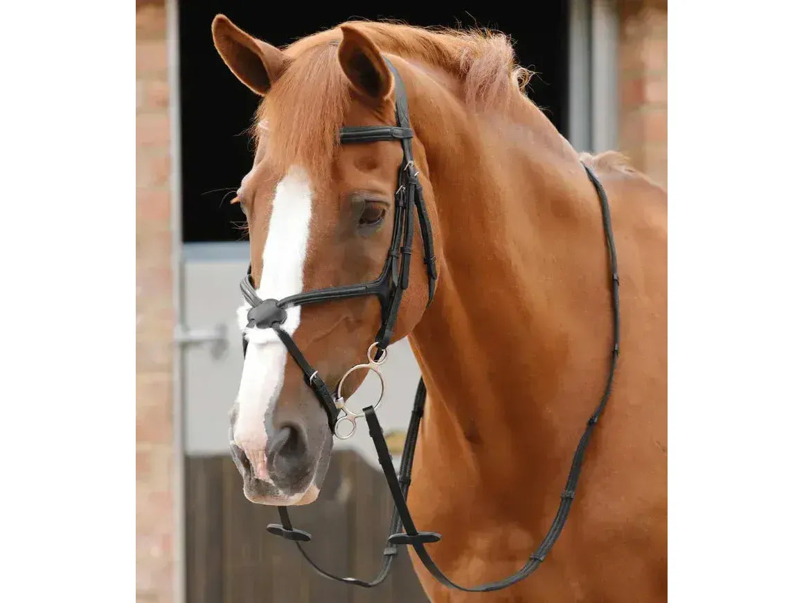 Premier Equine Domenico Web & Rubber Grip Reins