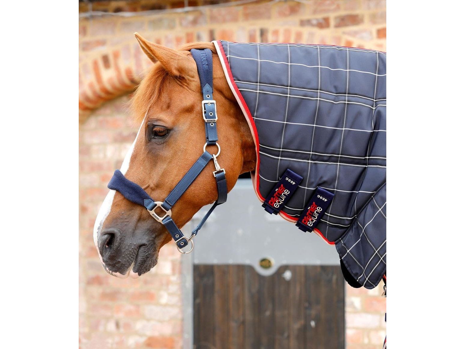 Premier Equine Domus 400g Combo Stable Rug