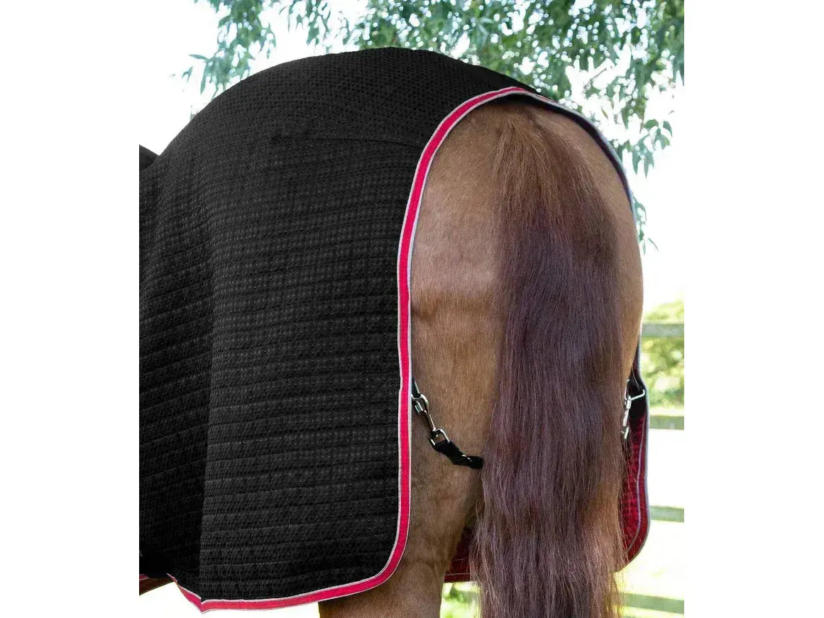 Premier Equine Dry-Tech Cooler