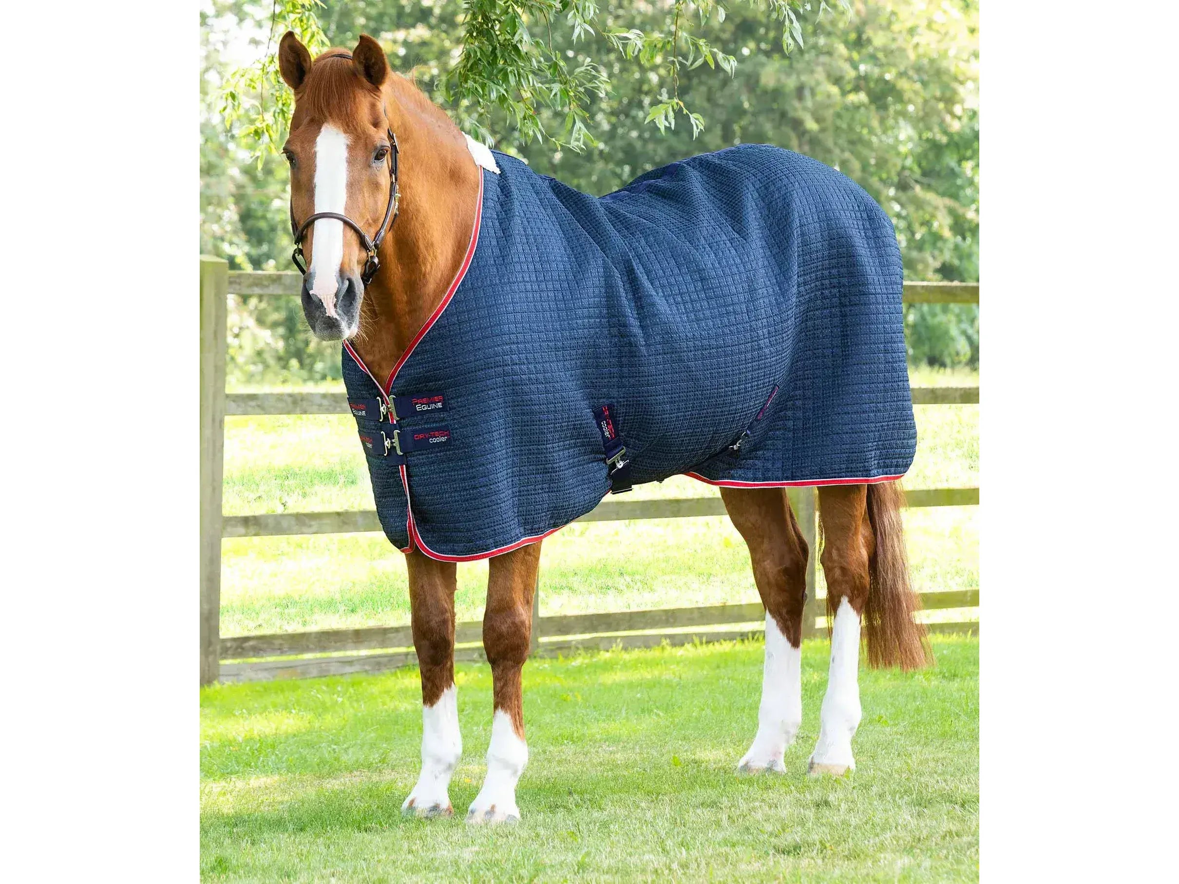 Premier Equine Dry-Tech Cooler