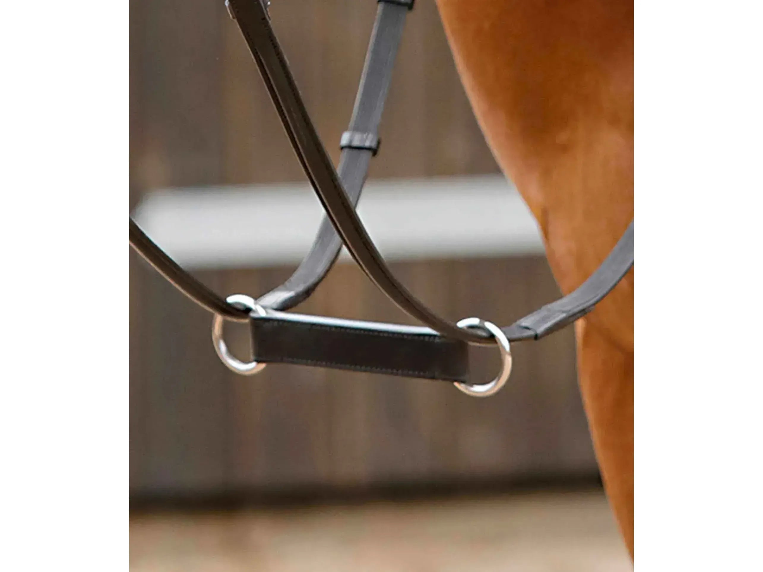 Premier Equine Esperia Irish Martingale