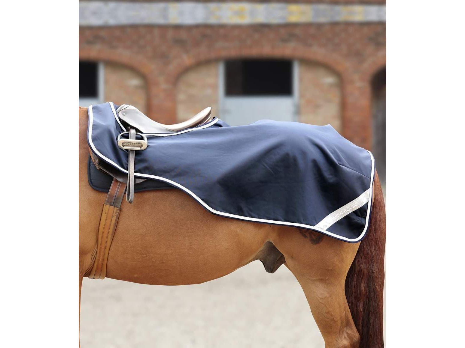 Premier Equine Exercise/Competition Sheet