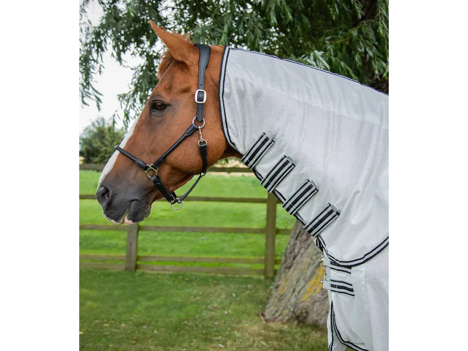Premier Equine Fly Lite Bug Rug