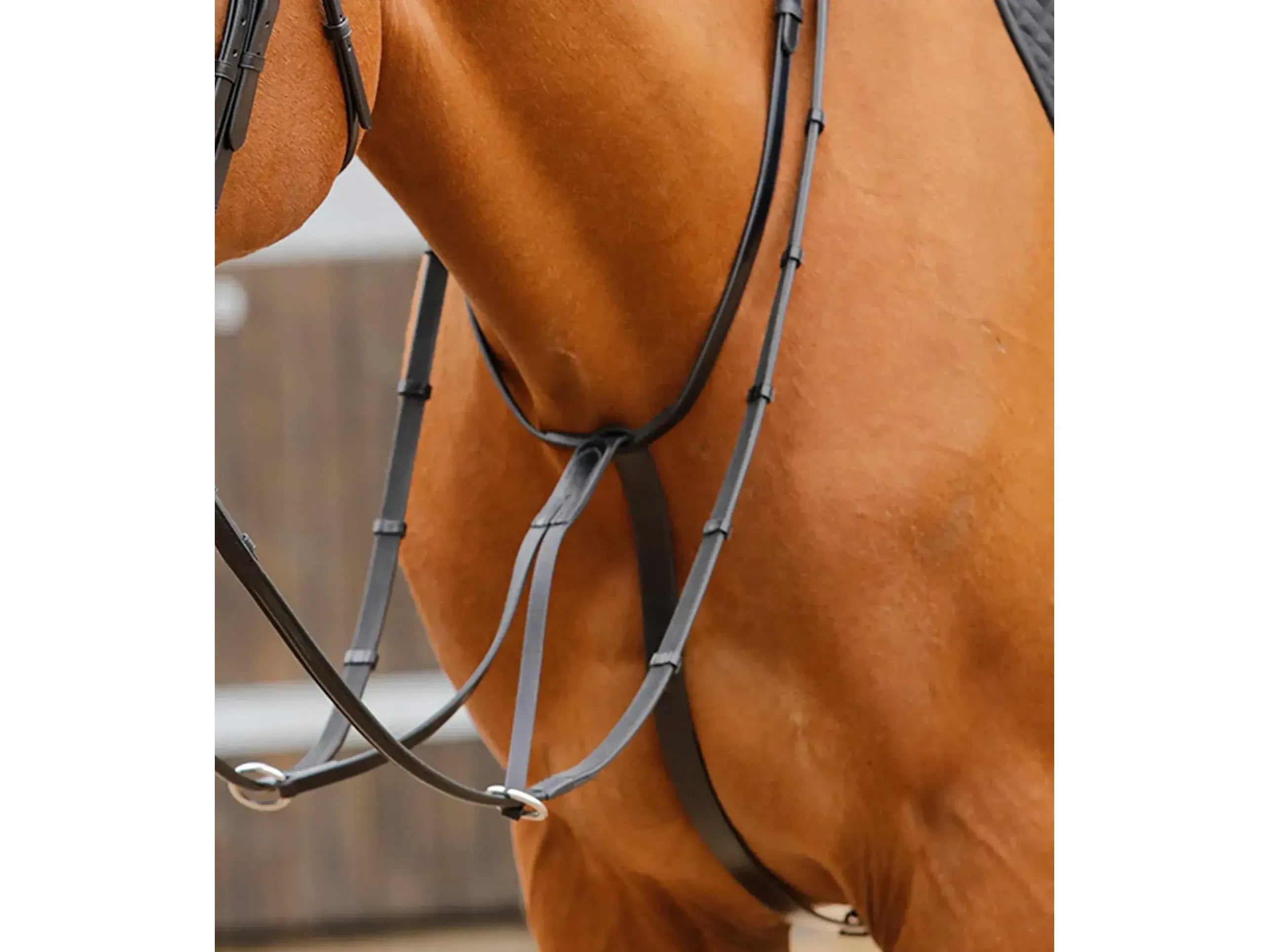 Premier Equine Fuscaldo Running Martingale