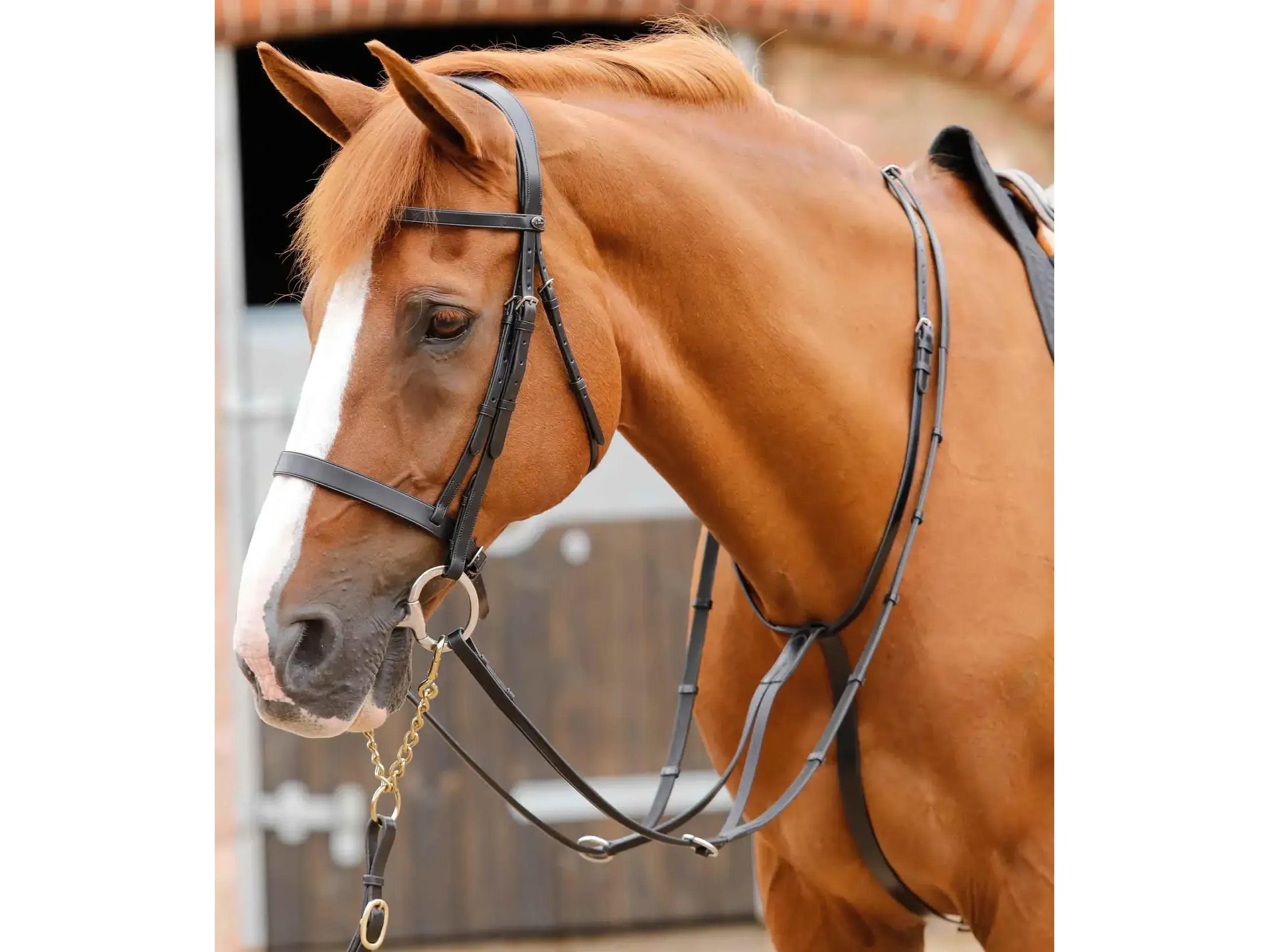 Premier Equine Fuscaldo Running Martingale