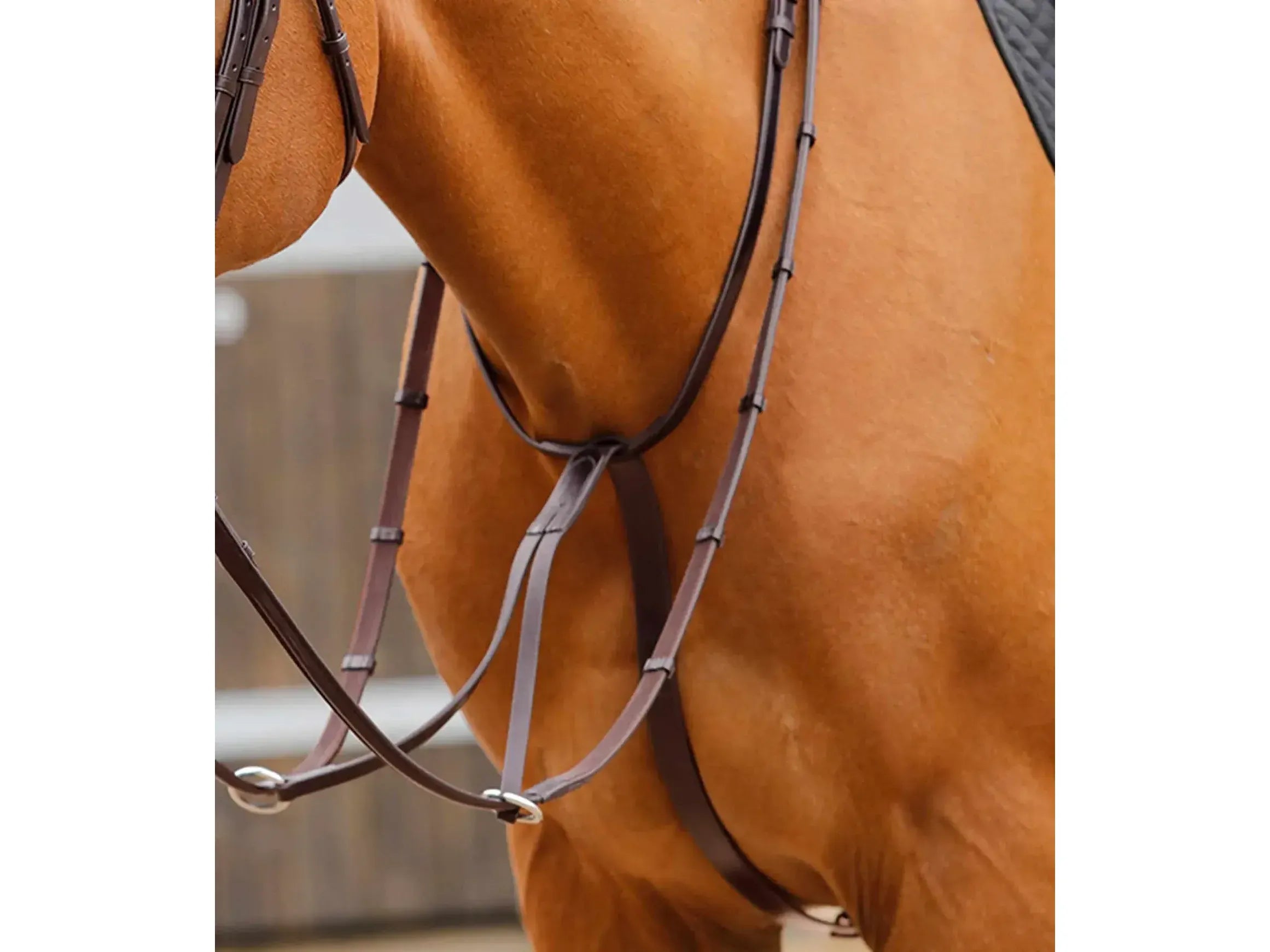 Premier Equine Fuscaldo Running Martingale