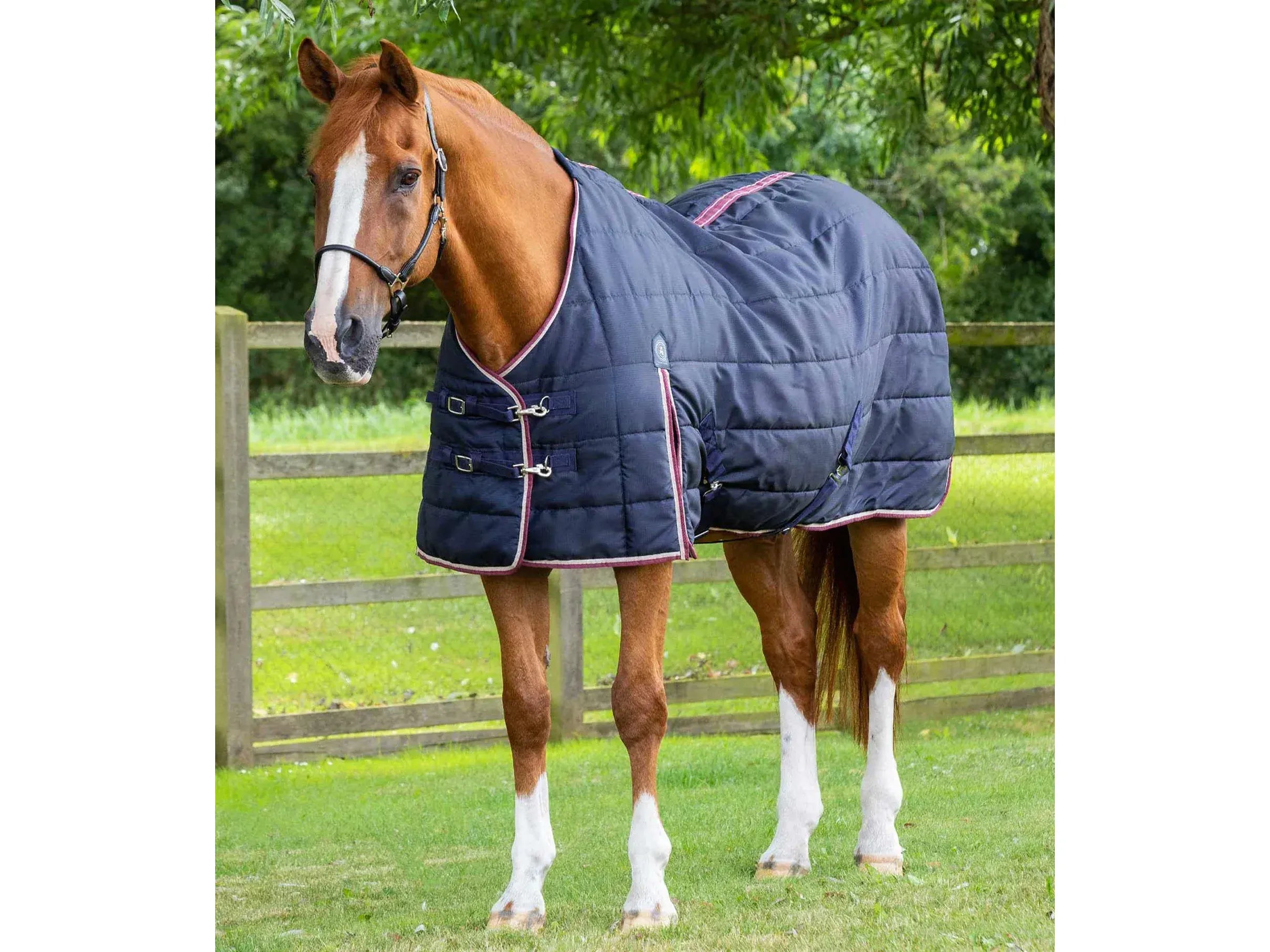 Premier Equine Garissa Stable Rug 100g