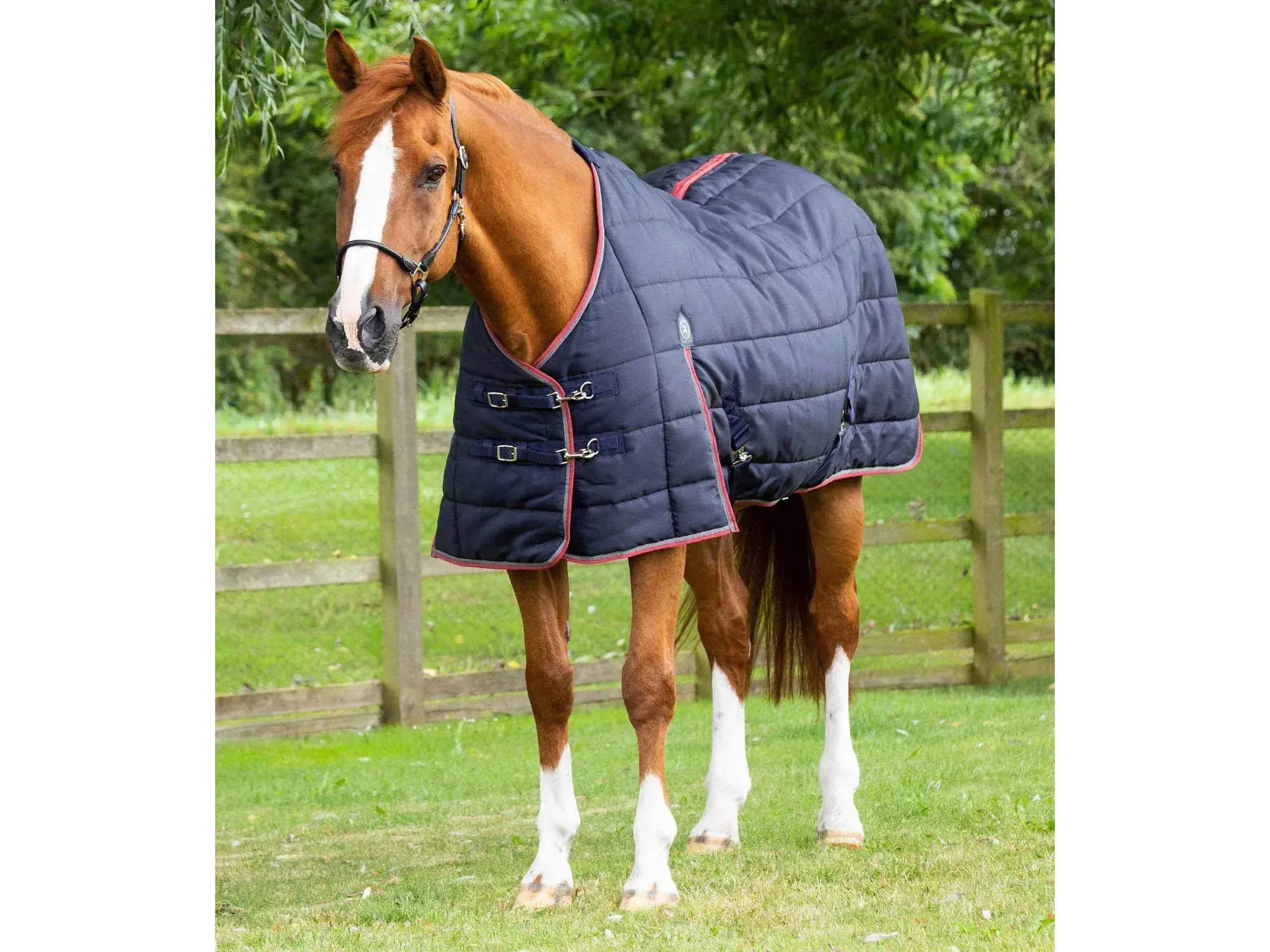 Premier Equine Garissa Stable Rug 200g