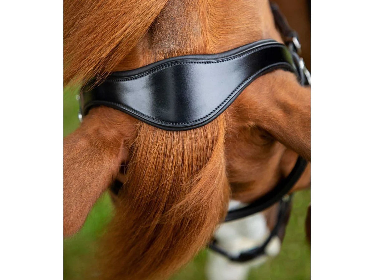 Premier Equine Glorioso Grackle Bridle Pony Black RRP £102.96