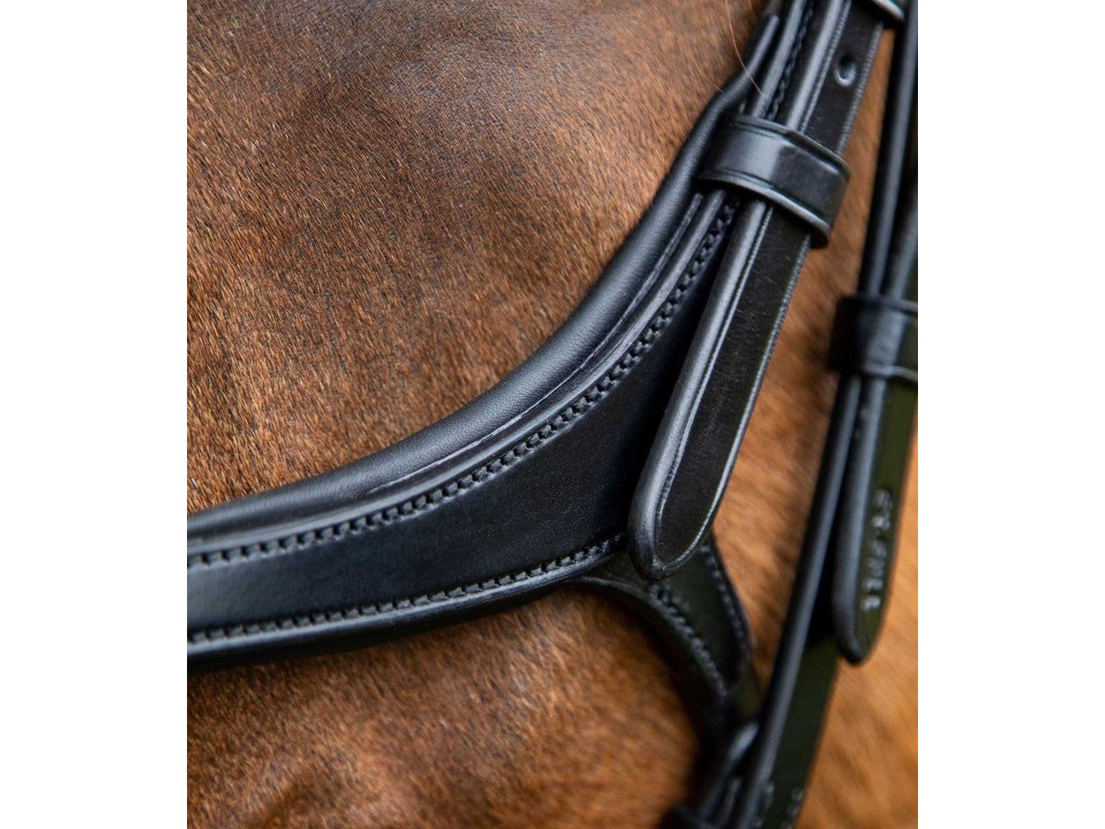 Premier Equine Glorioso Grackle Bridle
