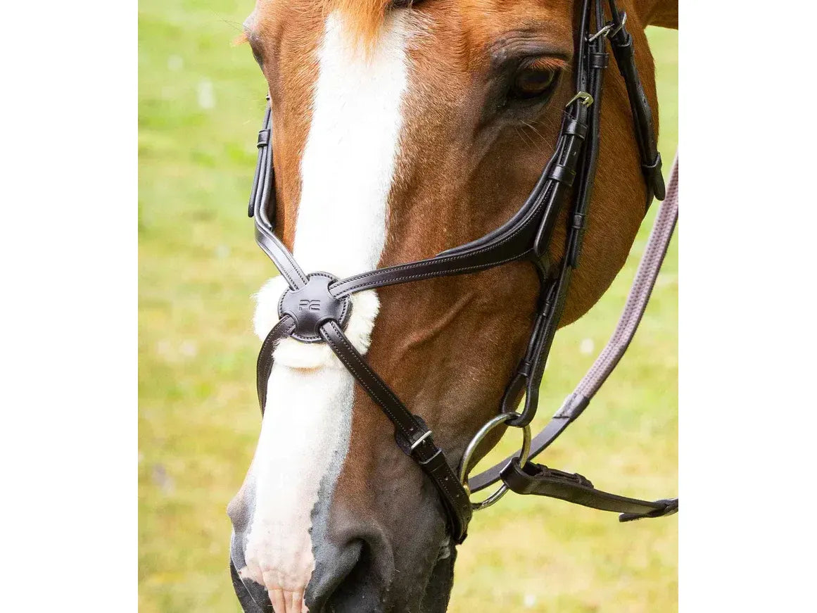 Premier Equine Glorioso Mexican Grackle Noseband