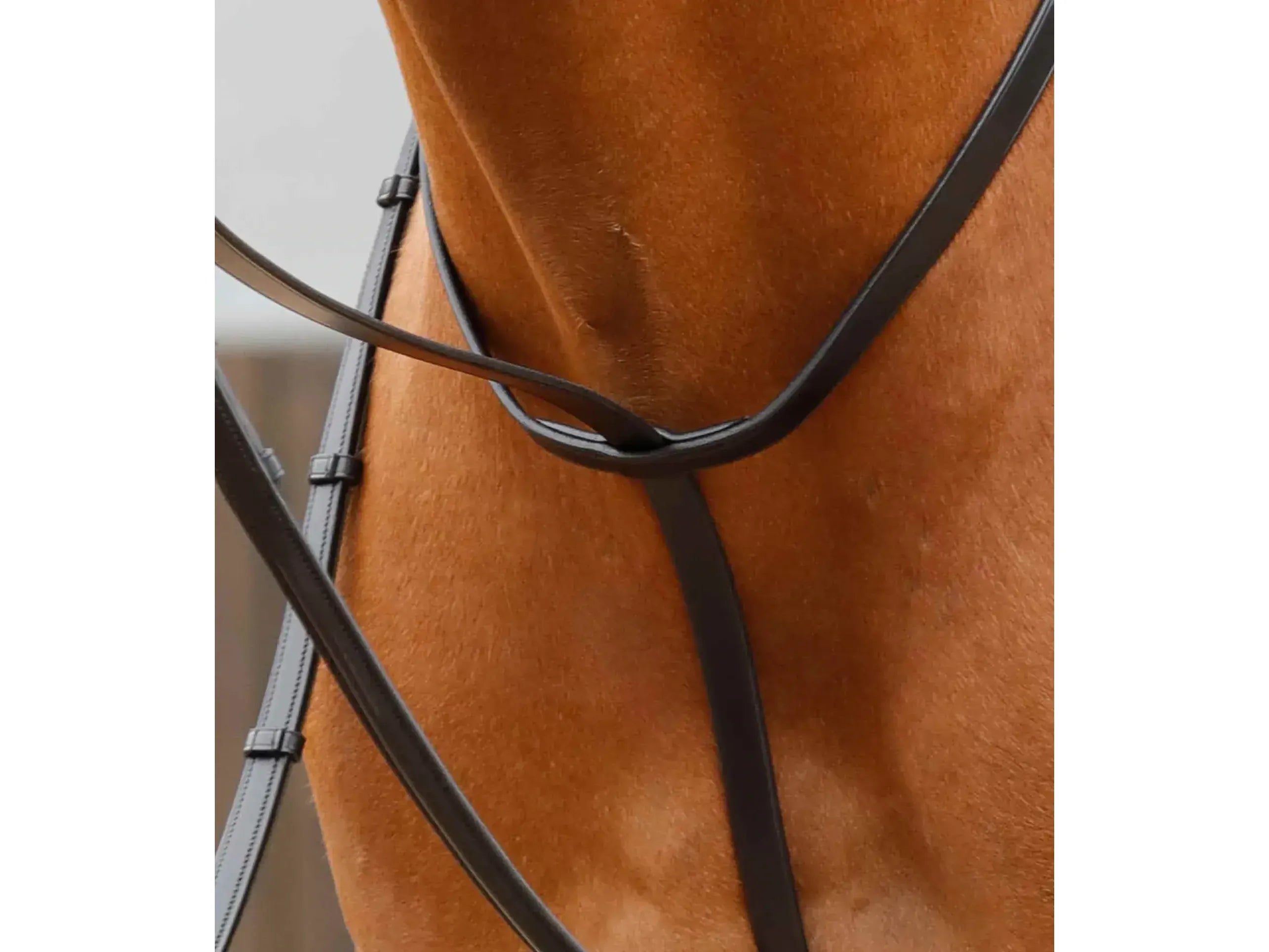 Premier Equine Gressan Standing Martingale