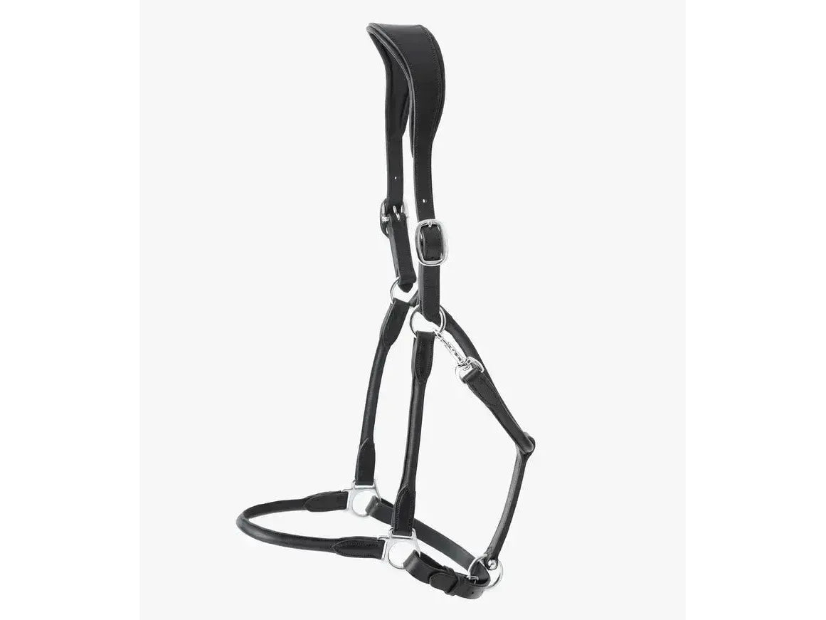 Premier Equine Hennaroso Rolled Anatomic Leather Headcollar