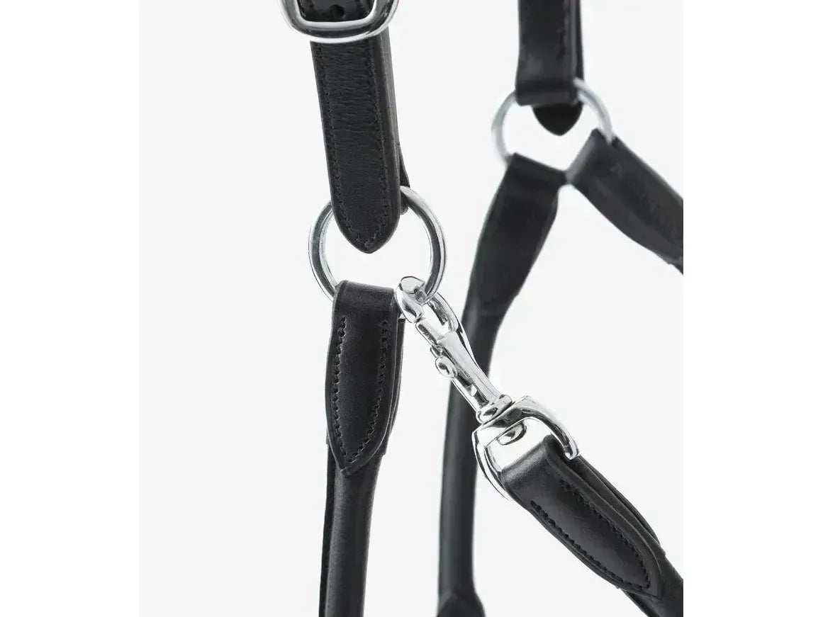 Premier Equine Hennaroso Rolled Anatomic Leather Headcollar