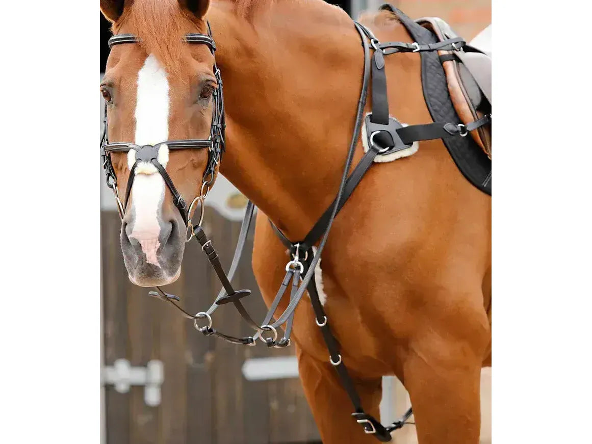 Premier Equine Invorio 5 Point Breastplate