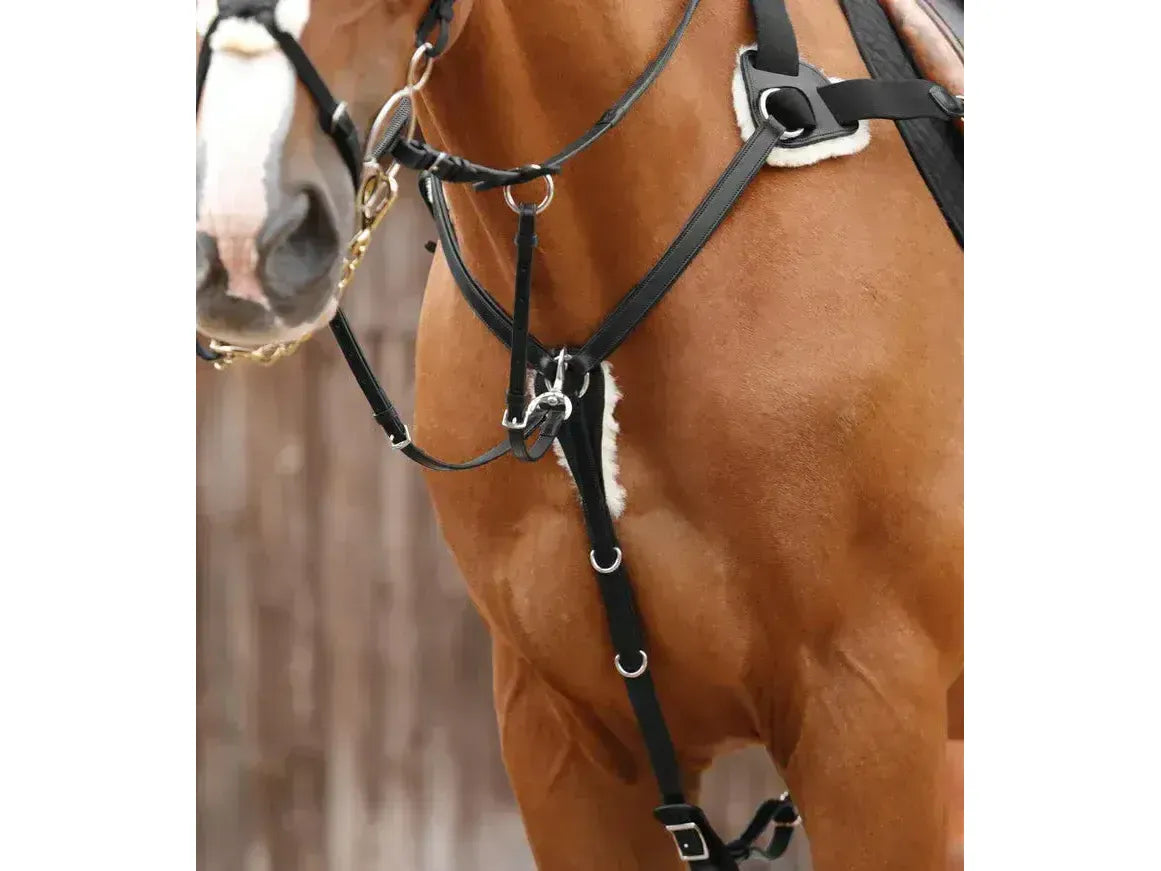 Premier Equine Invorio 5 Point Breastplate