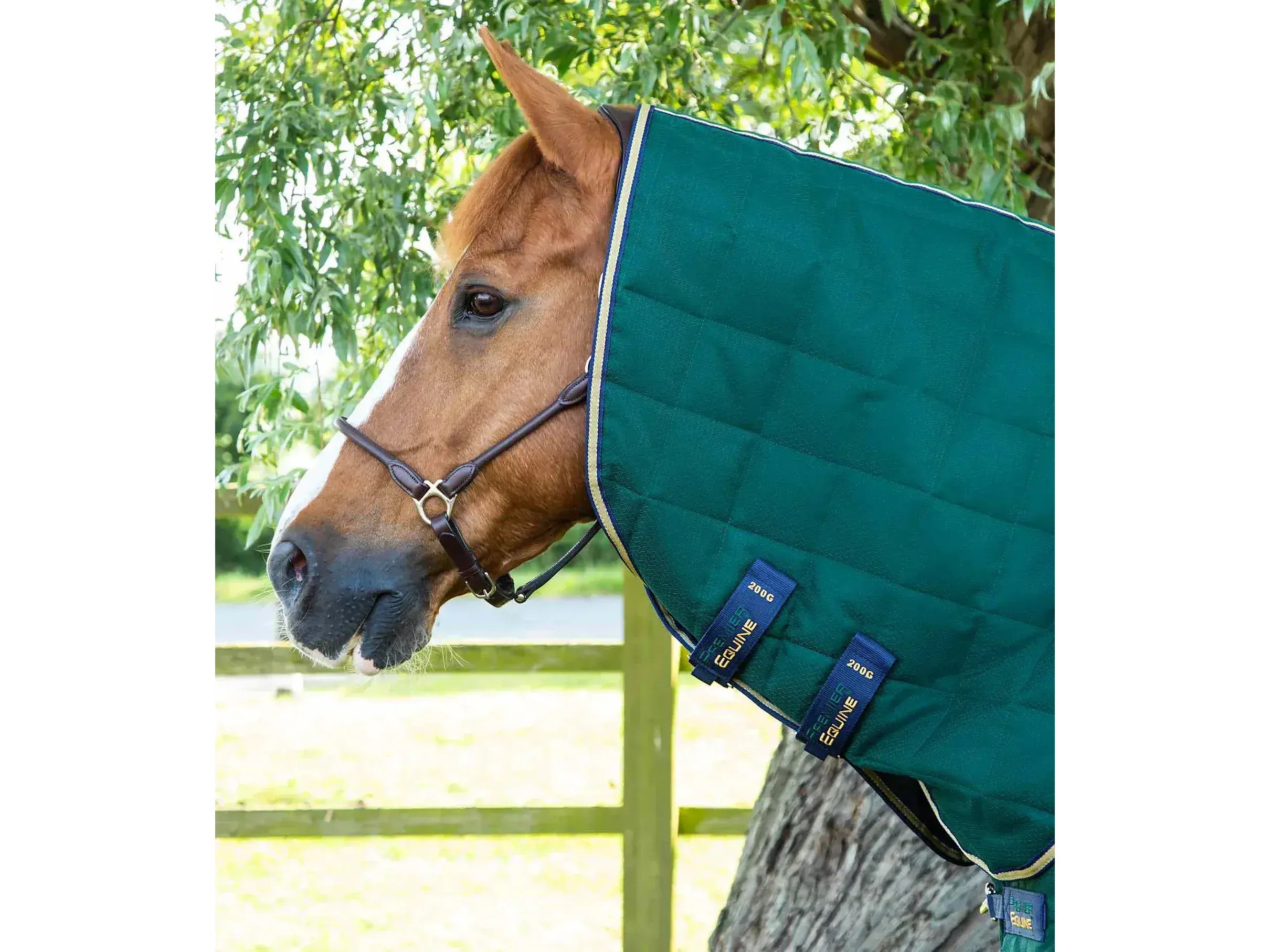Premier Equine Lucanta 200g Stable Rug with Neck Cover