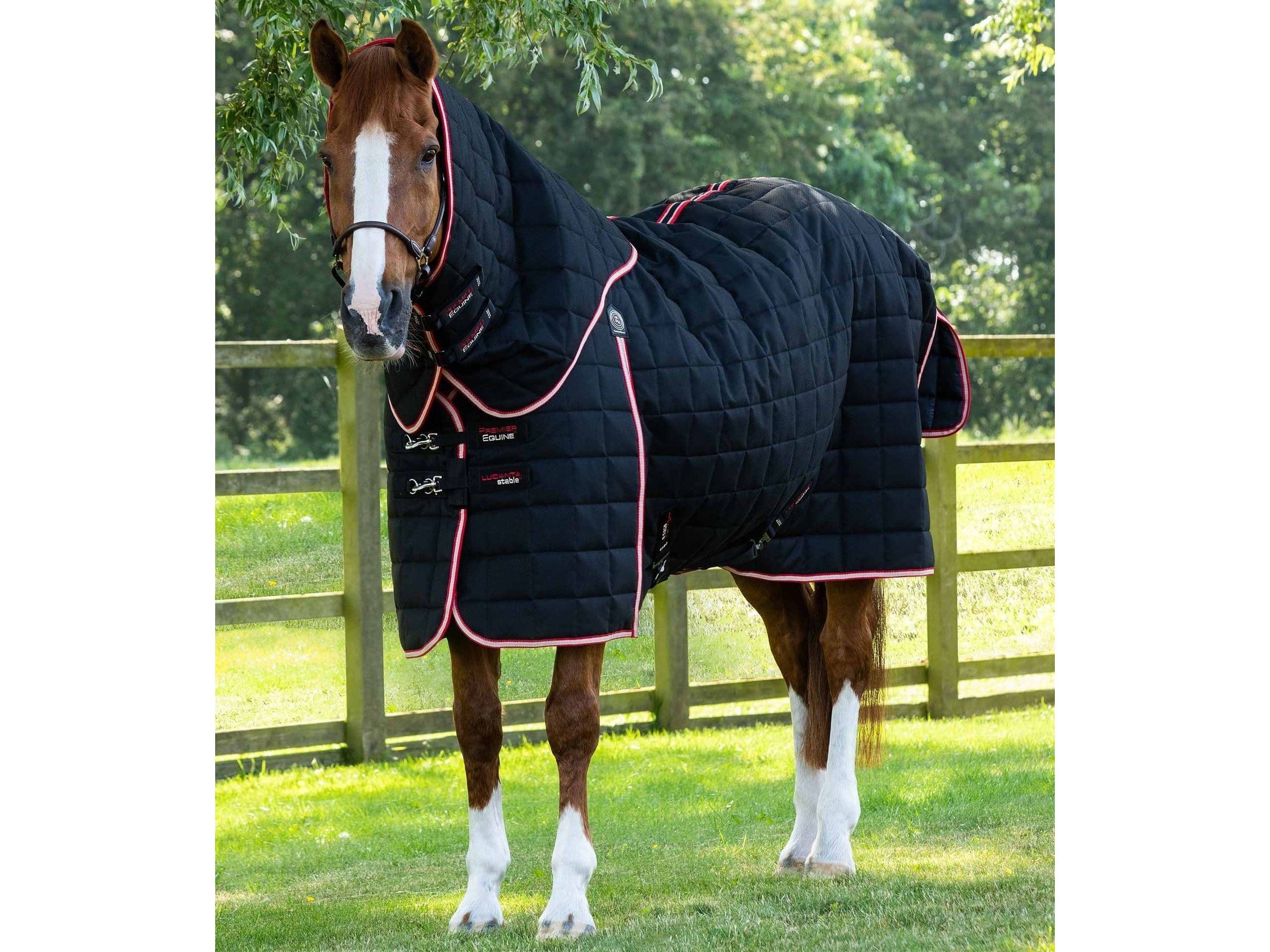 Premier Equine Lucanta 450g Stable Rug with Neck Cover