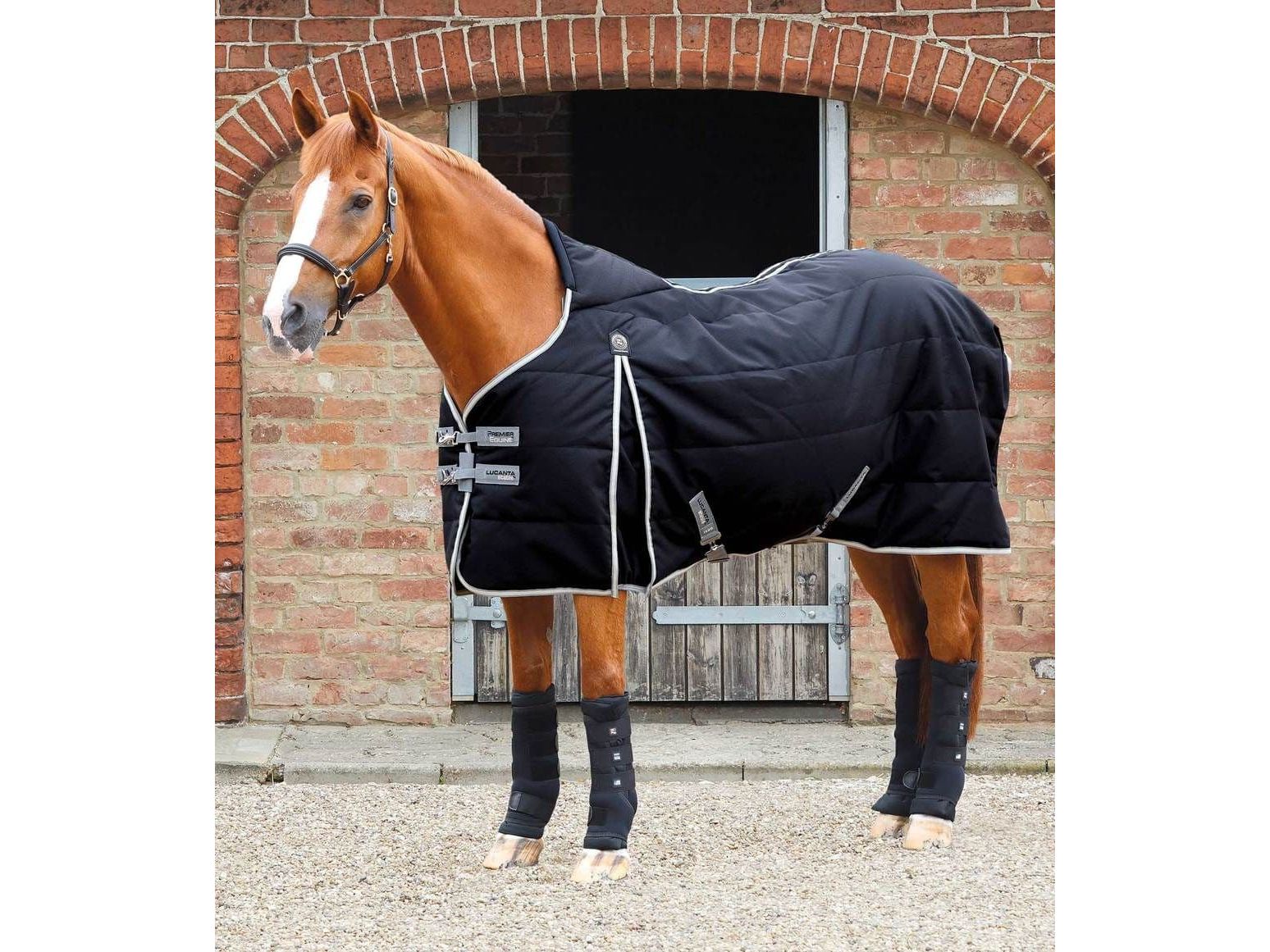 Premier Equine Lucanta Demi 100g Stable Rug